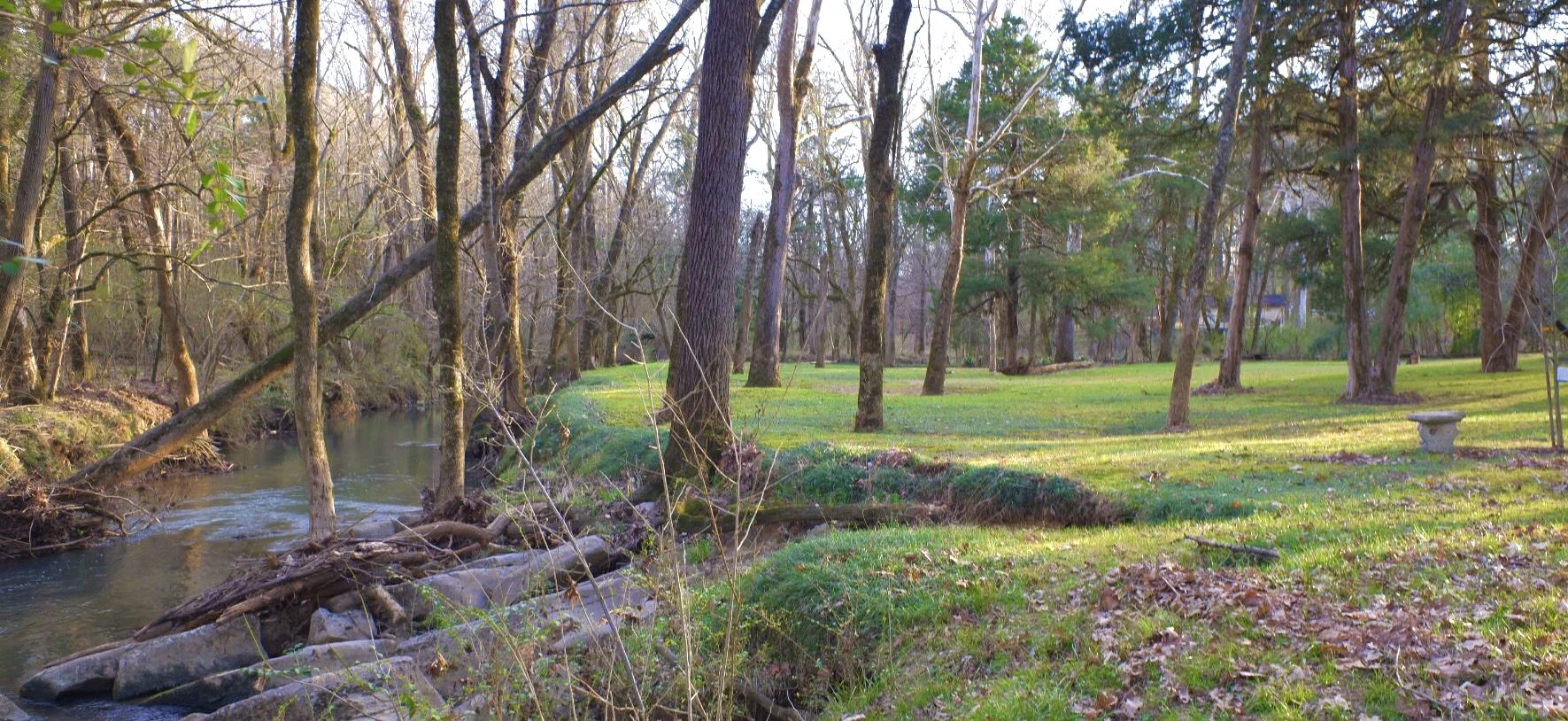 A peaceful park scene with a small stream flowing through the woods and a grassy area with trees and a bench.
