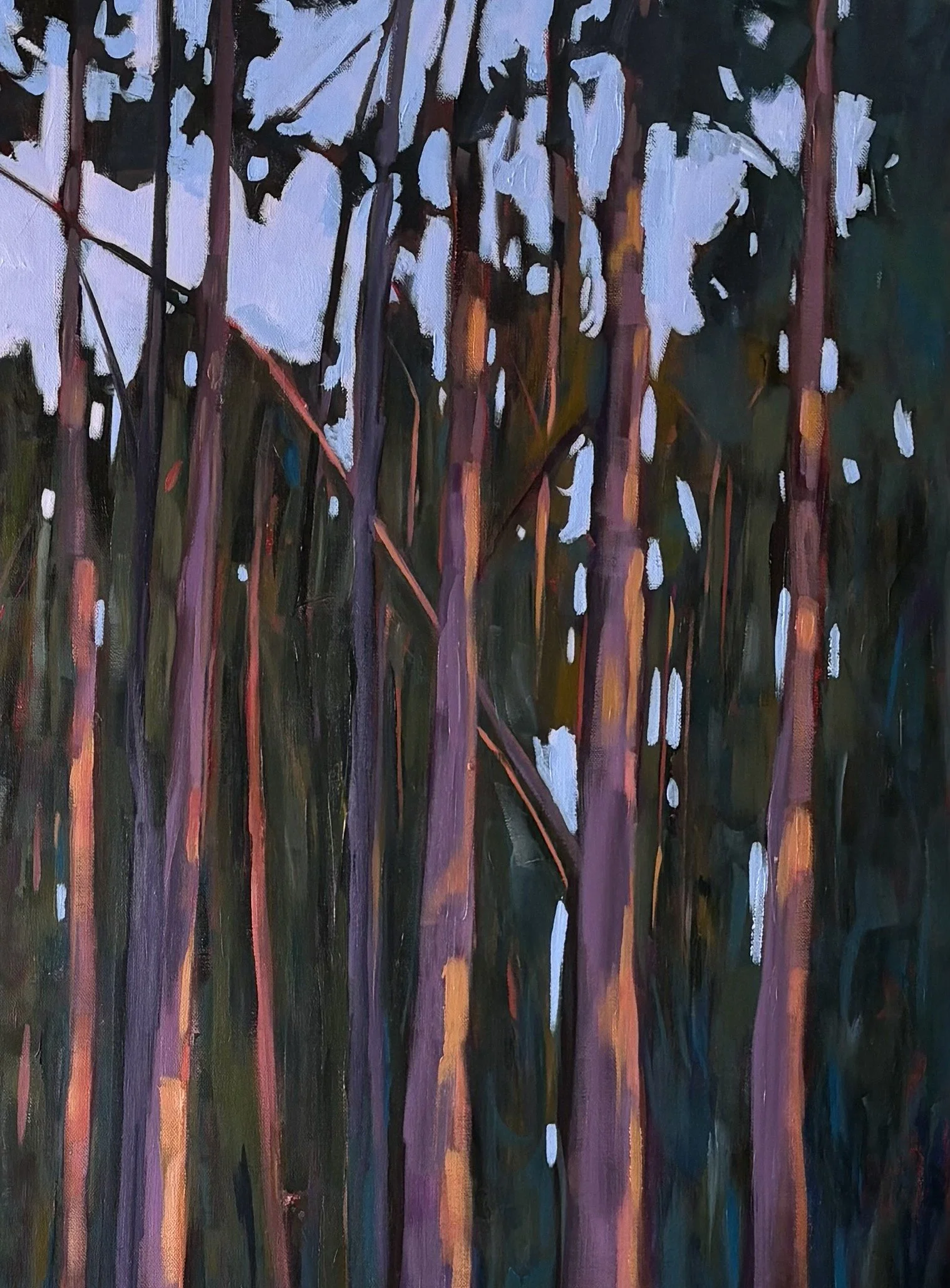 IMG_7482 Close up.jpeg