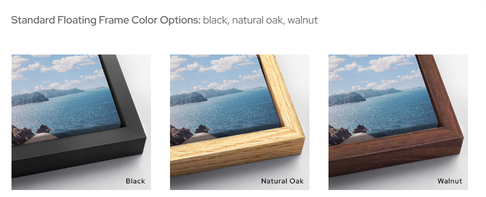 Frame options.png