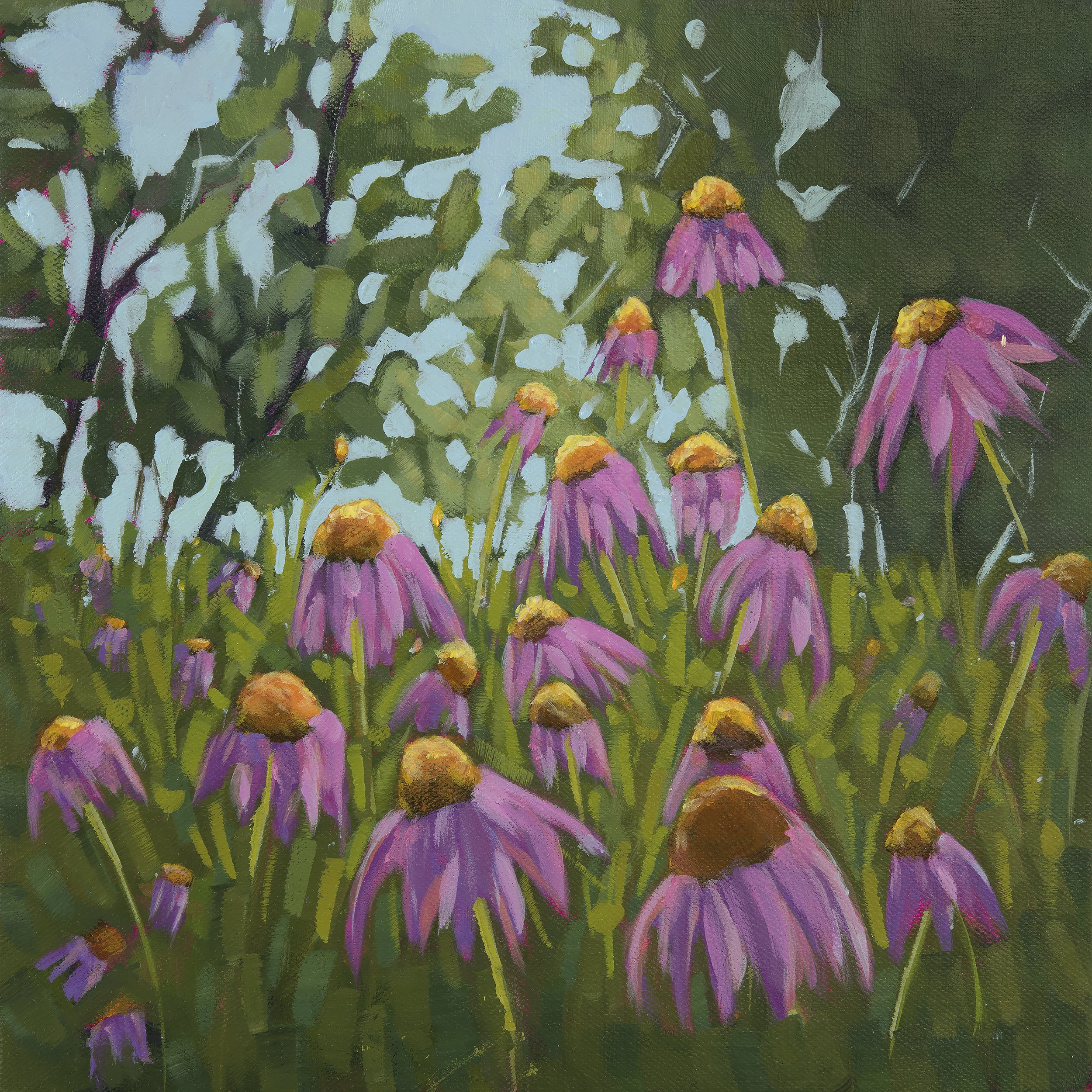 Willer_S_PurpleconeFlowers_10x10.jpg