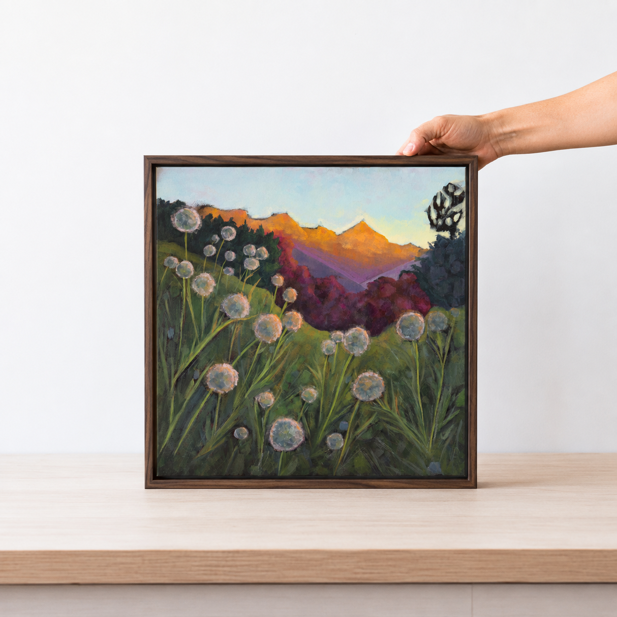 Dandelion Sunset