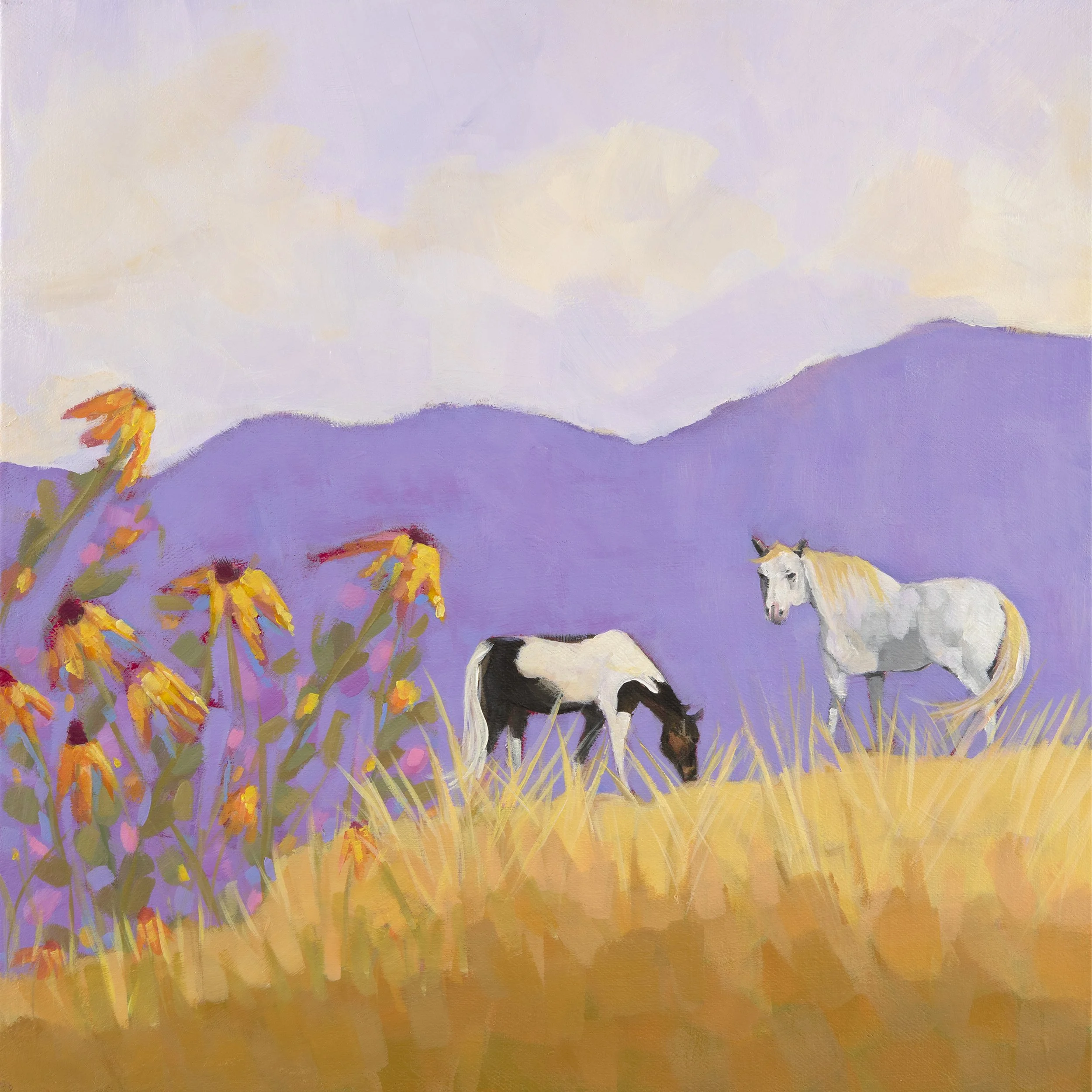 Wild Mustangs