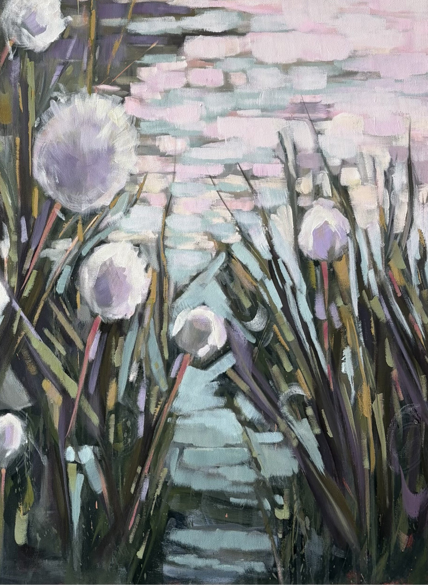 Dandi 2 Mochup close up.jpeg