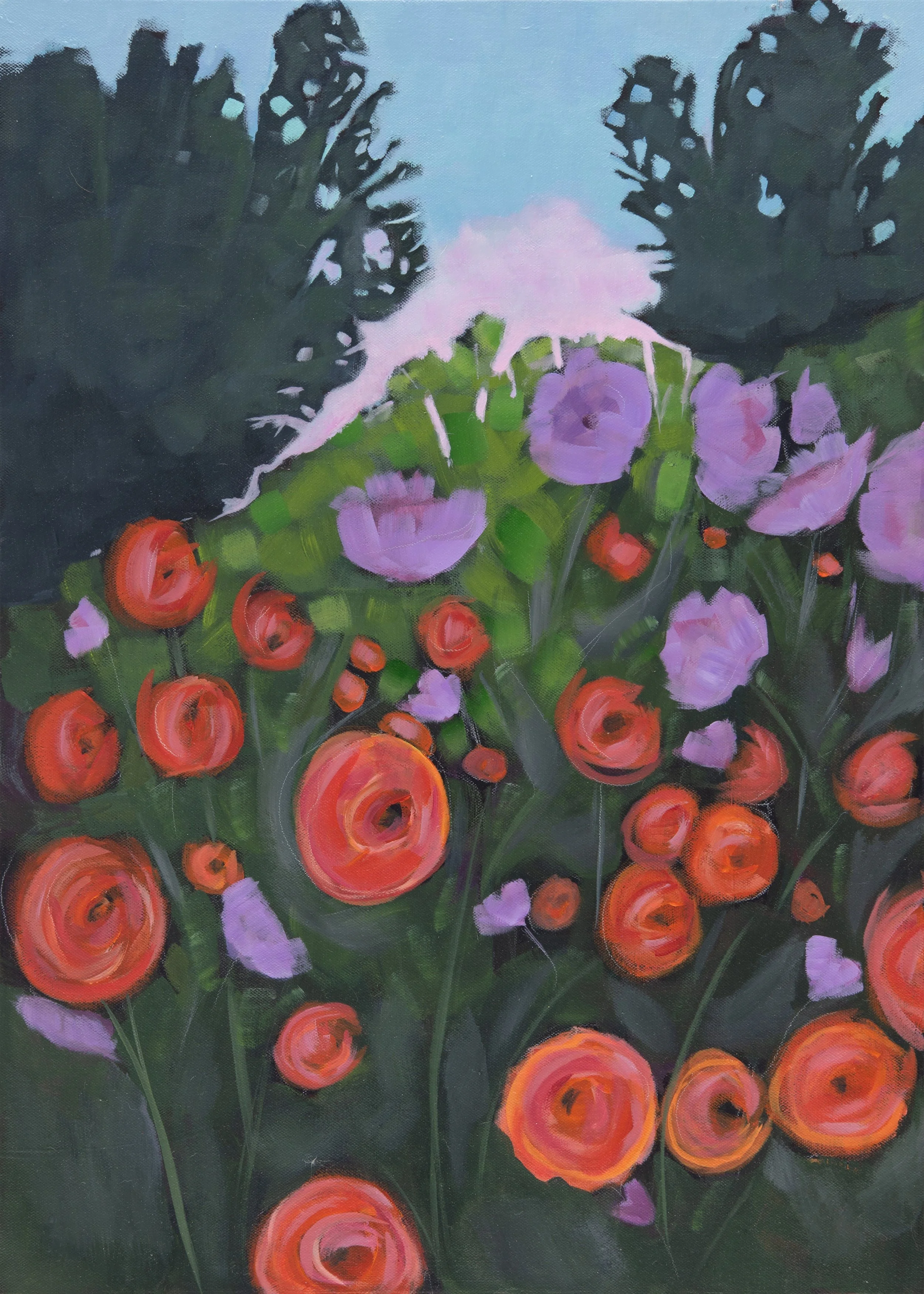 Poppy