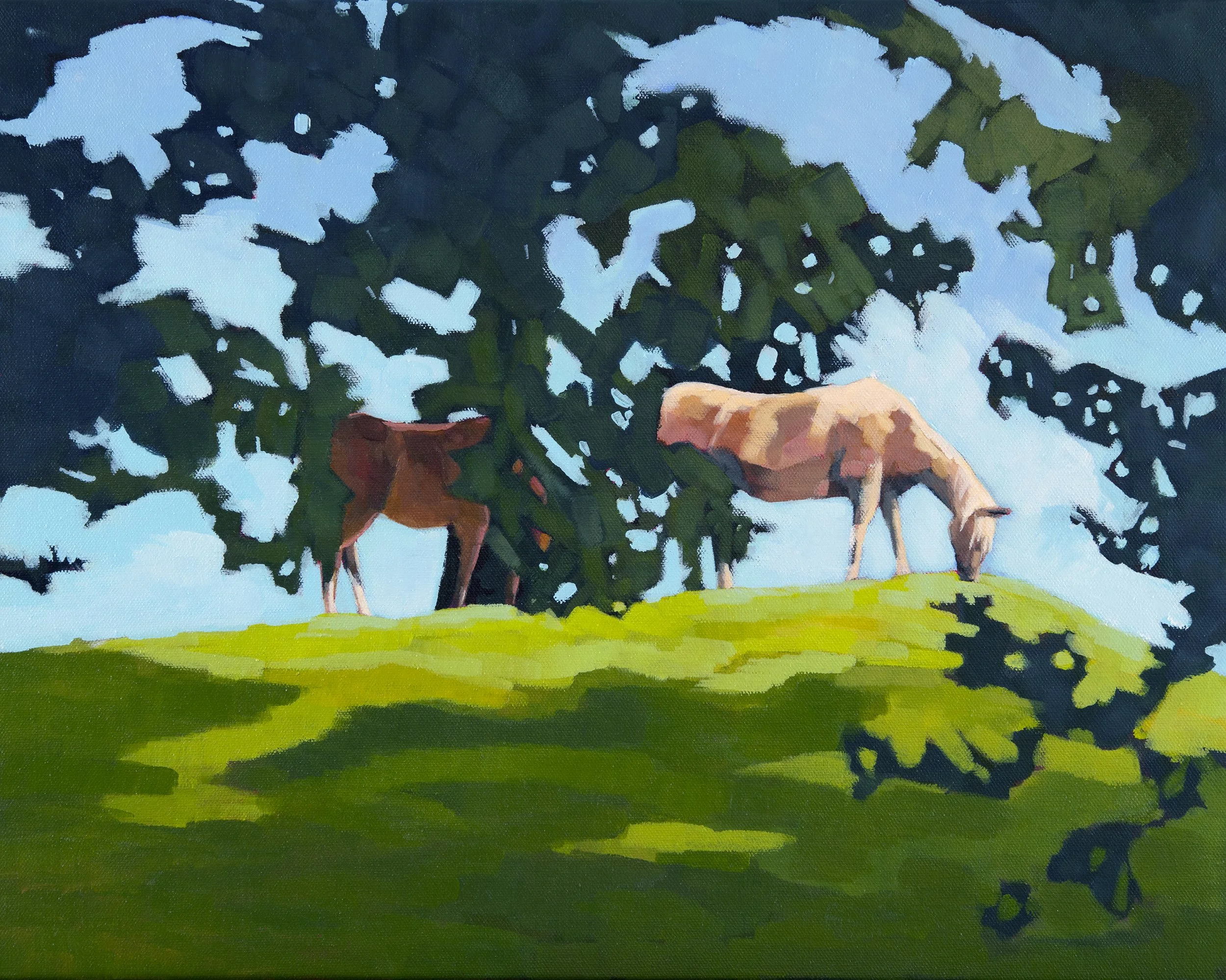 Canopy