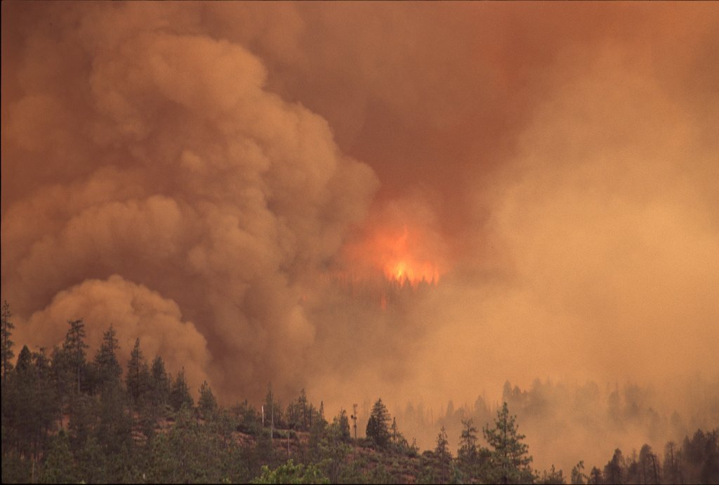 2026 Oregon wildfire resources &amp; Ways to help