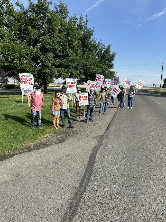 Strike Alert: Electrical Workers in Eastern Oregon on Strike