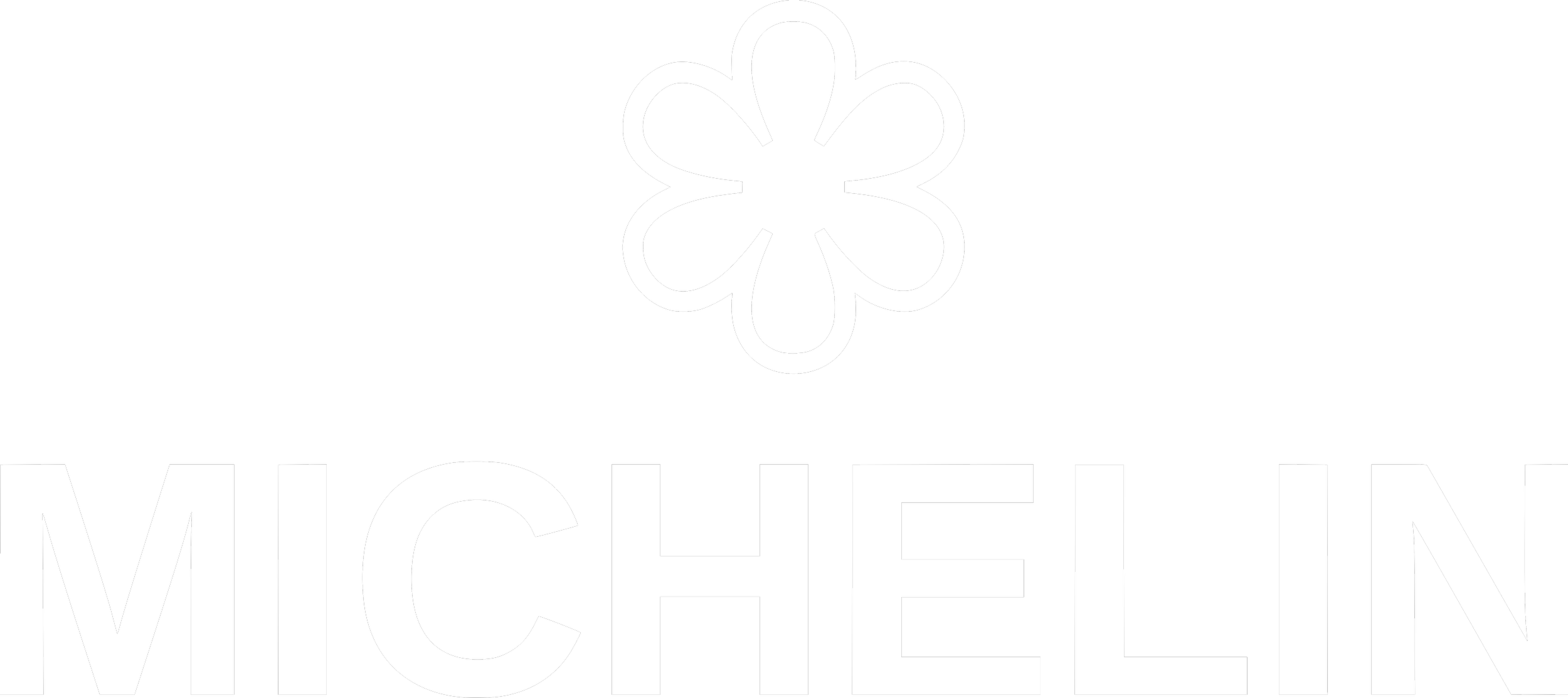Michelin logo with a stylized white flower above the word 'Michelin' on a black background.