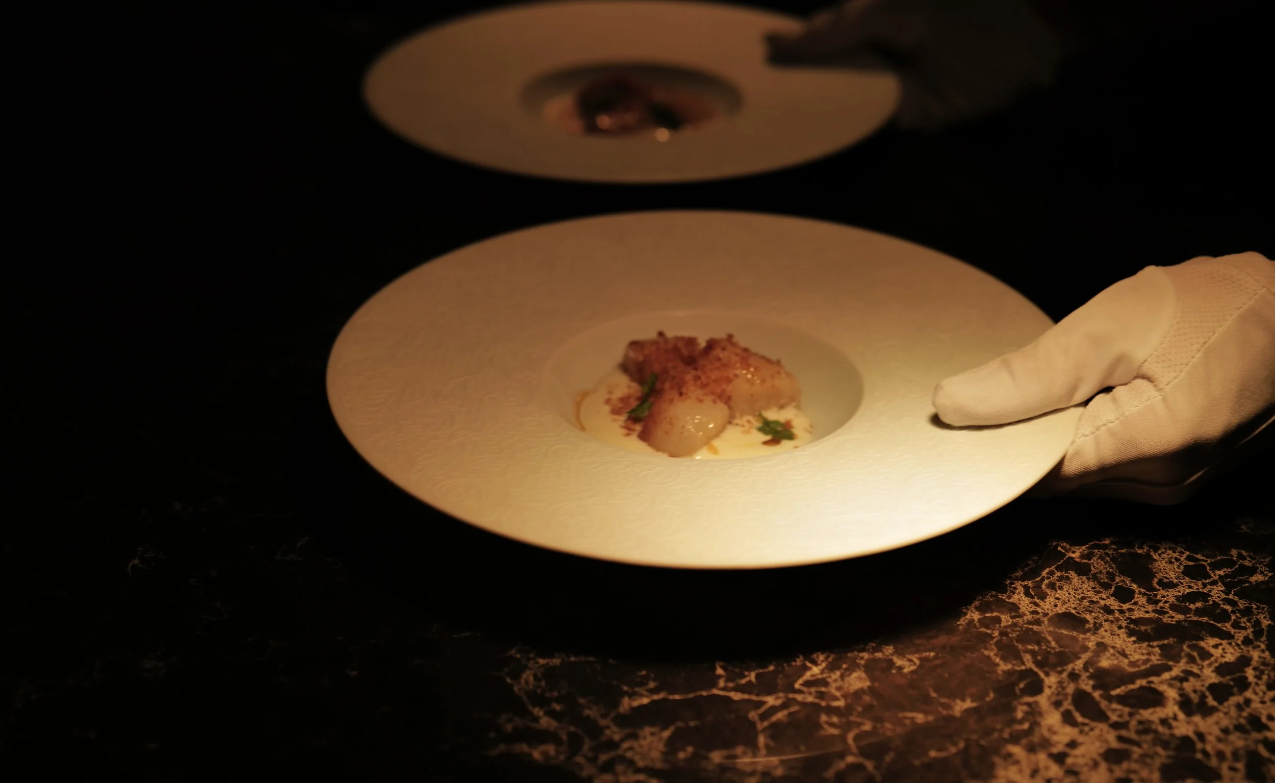 A white plate with a small portion of food garnished with herbs, being carefully served by a person wearing a white glove in a dimly lit environment.