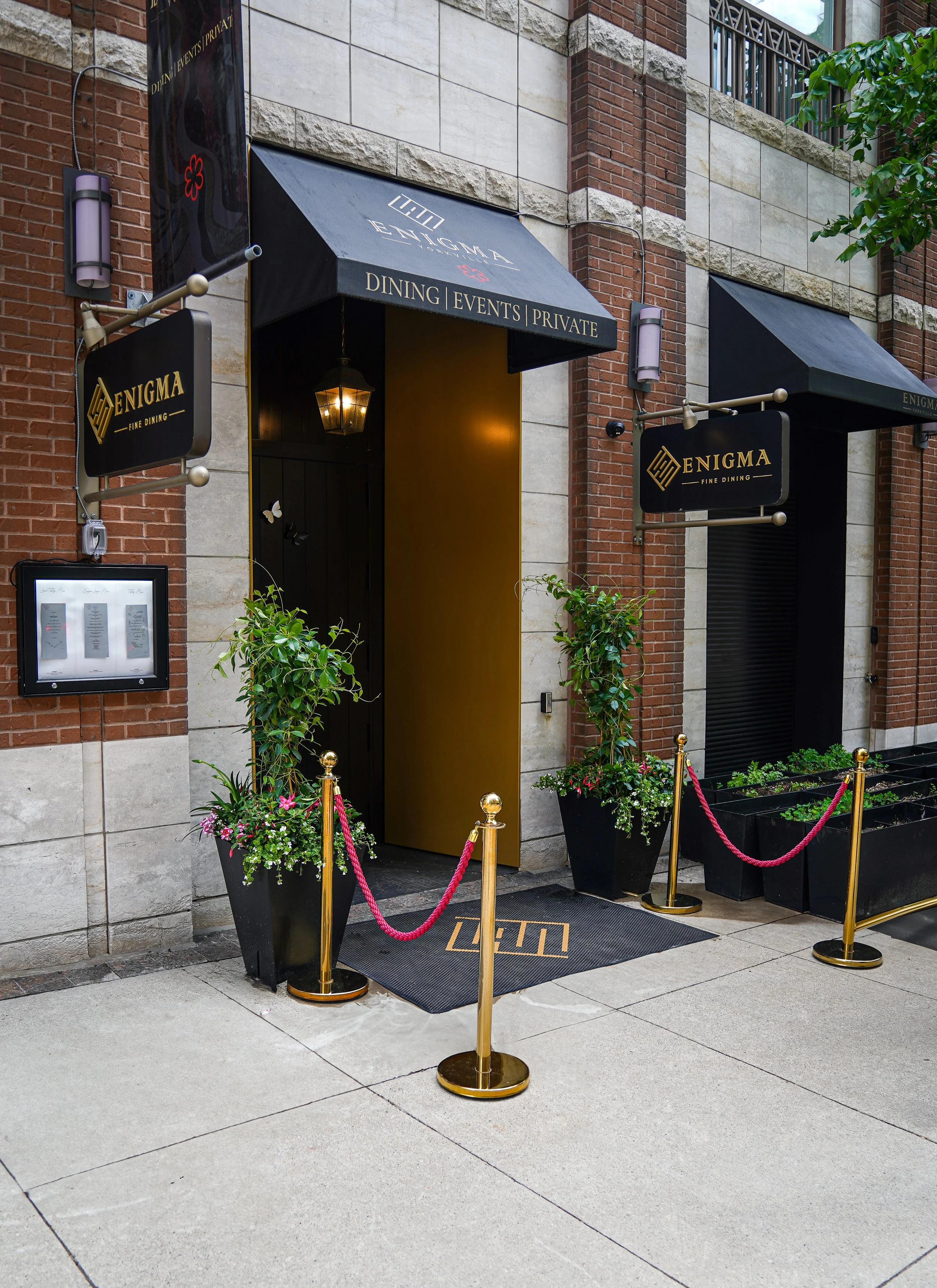Exterior of Enigma restaurant with black awnings, gold signage, potted plants, and red velvet ropes.