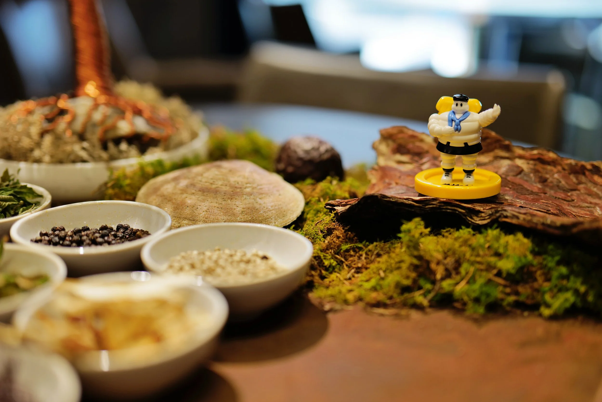 A scene with various bowls containing herbs, spices, and dried ingredients, with a small figurine of Tintin standing on a piece of bark among moss, suggesting a imaginative or playful setting.