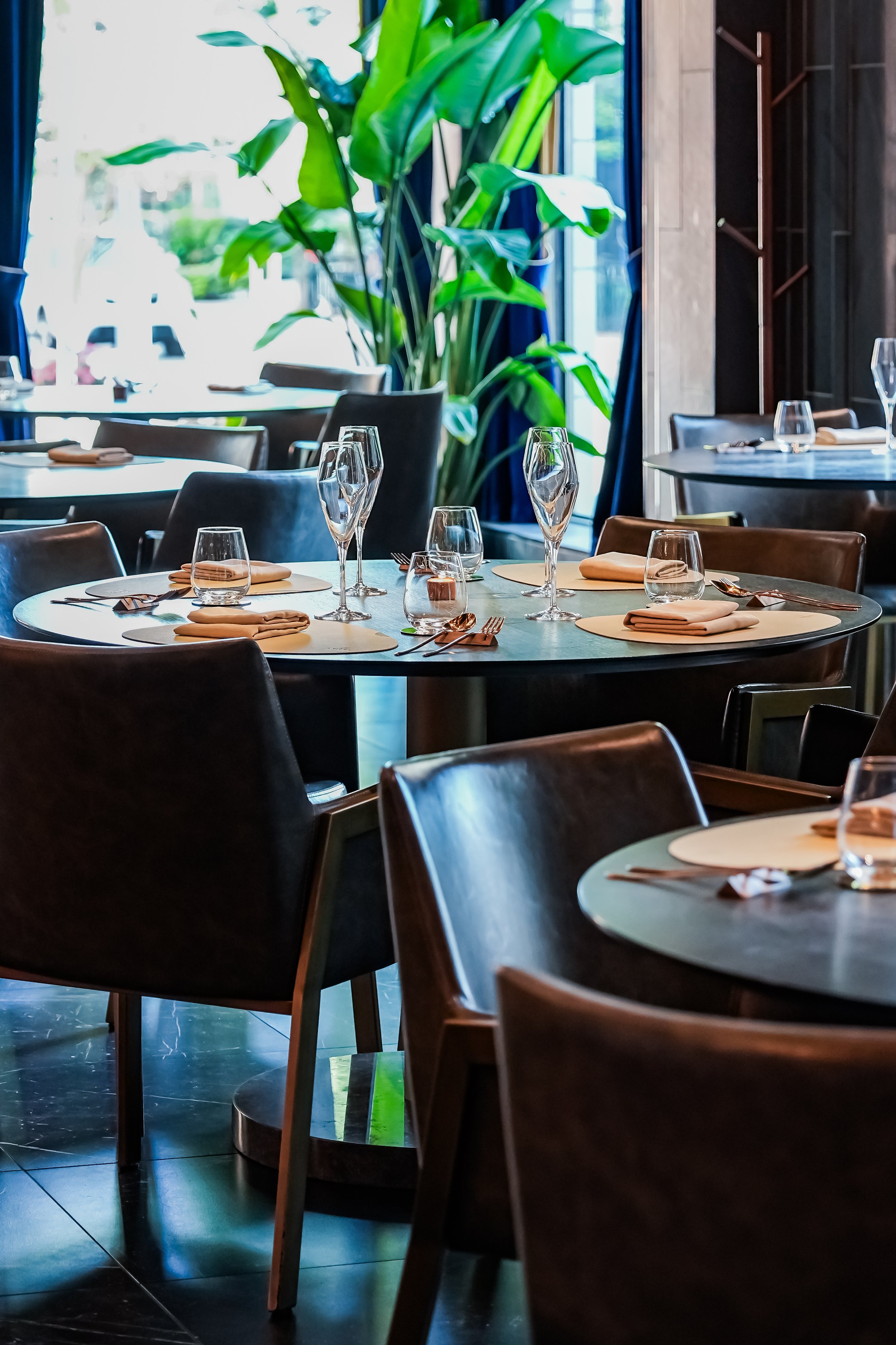 Enigma Yorkville Michelin-starred restaurant in Toronto