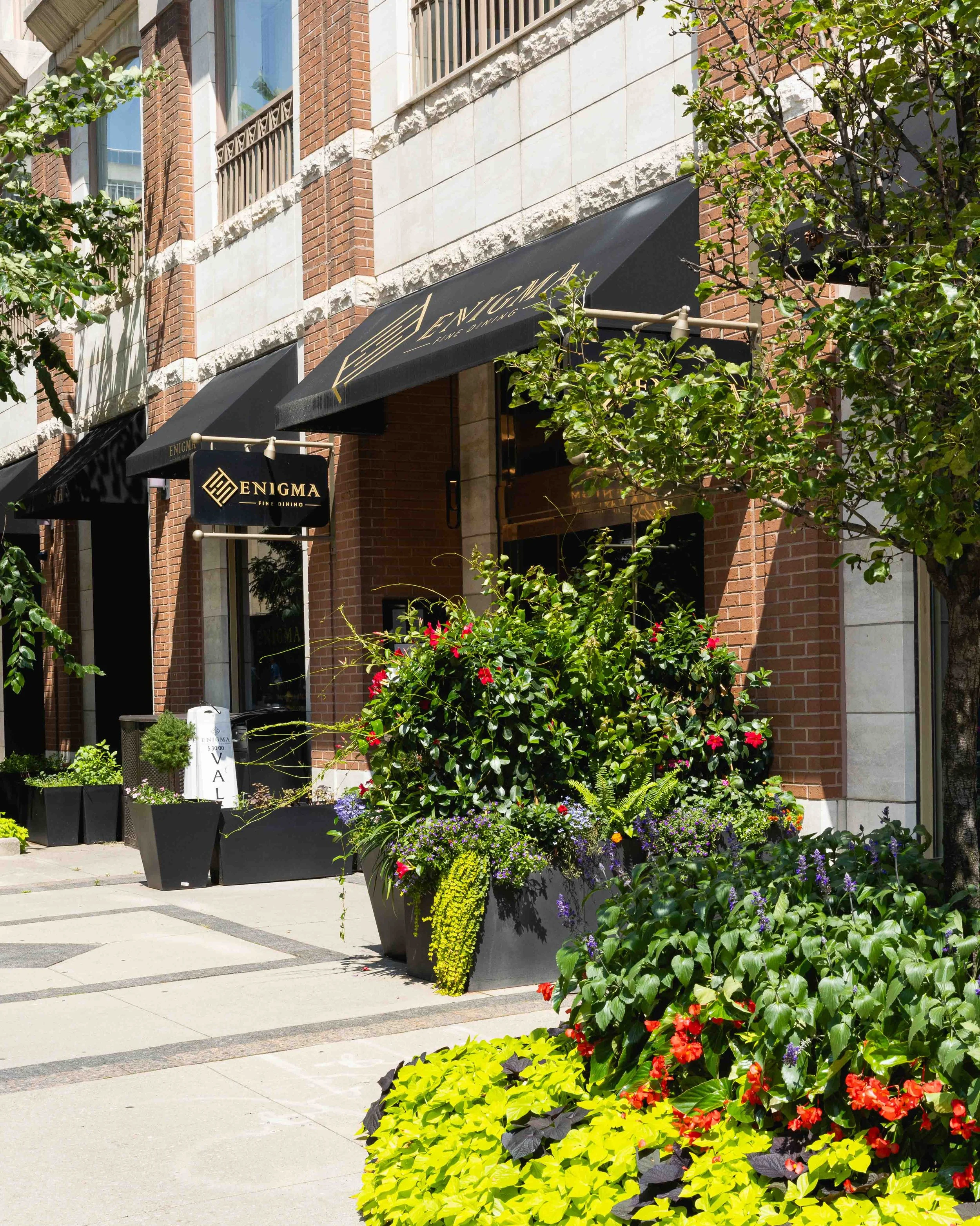 Exterior of a restaurant called Enigma with black awnings and sign. Potted plants and flowers along sidewalk, brick building, trees, and sunny weather.
