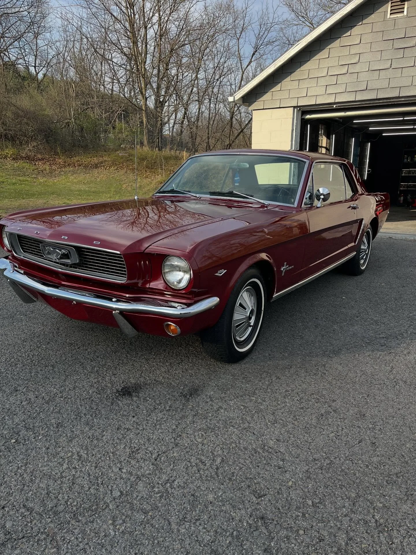 An icon&mdash;refined to the level it deserves.

This 1966 Mustang came in needing more than just a detail. Years of light imperfections had taken away from the depth and clarity of its paint.

Through a carefully executed paint correction, we restor