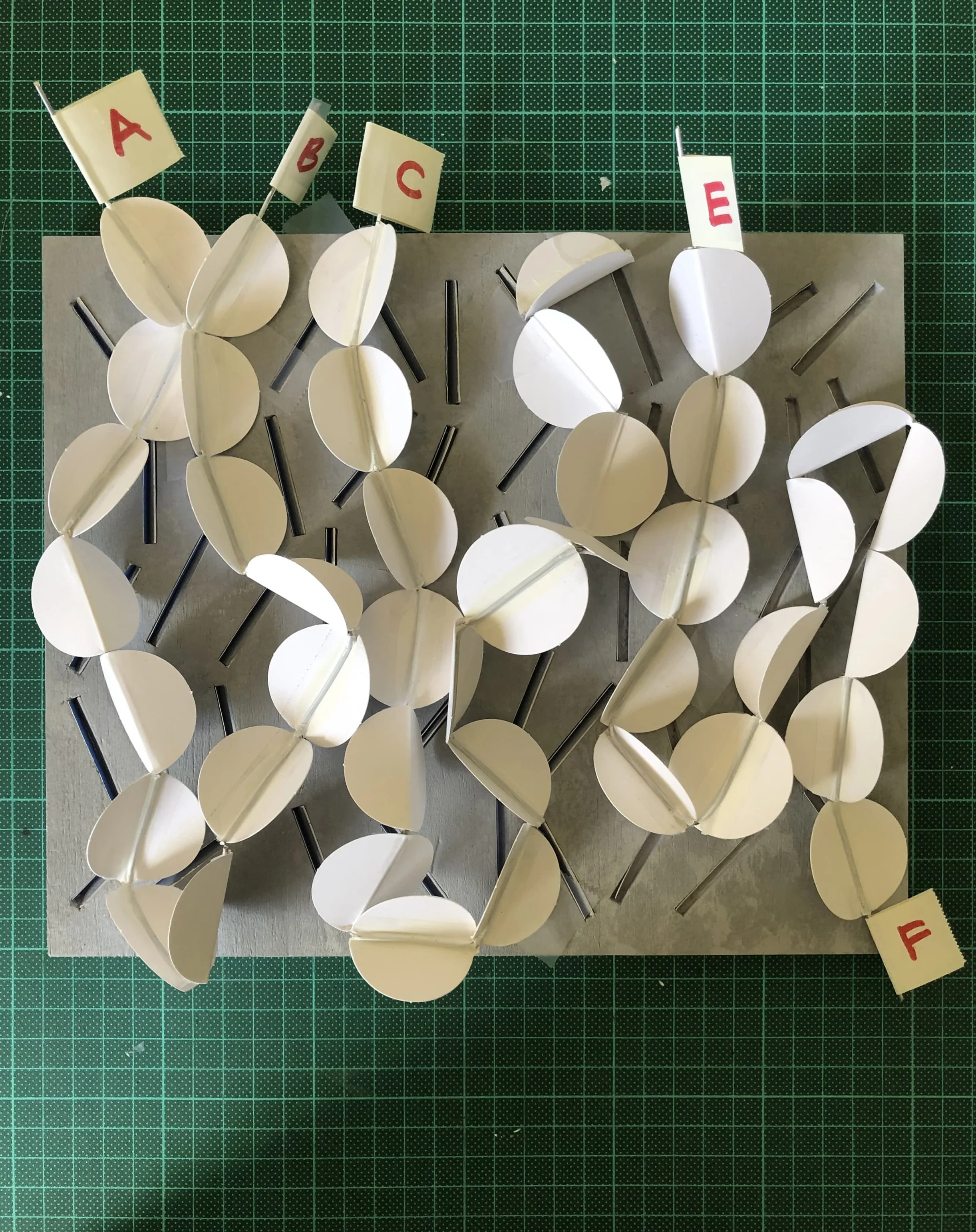 A model of a butterfly made from white paper and thin sticks, with small flags labeled 'A', 'B', 'C', 'E', and 'F' attached to the model, placed on a cutting mat.