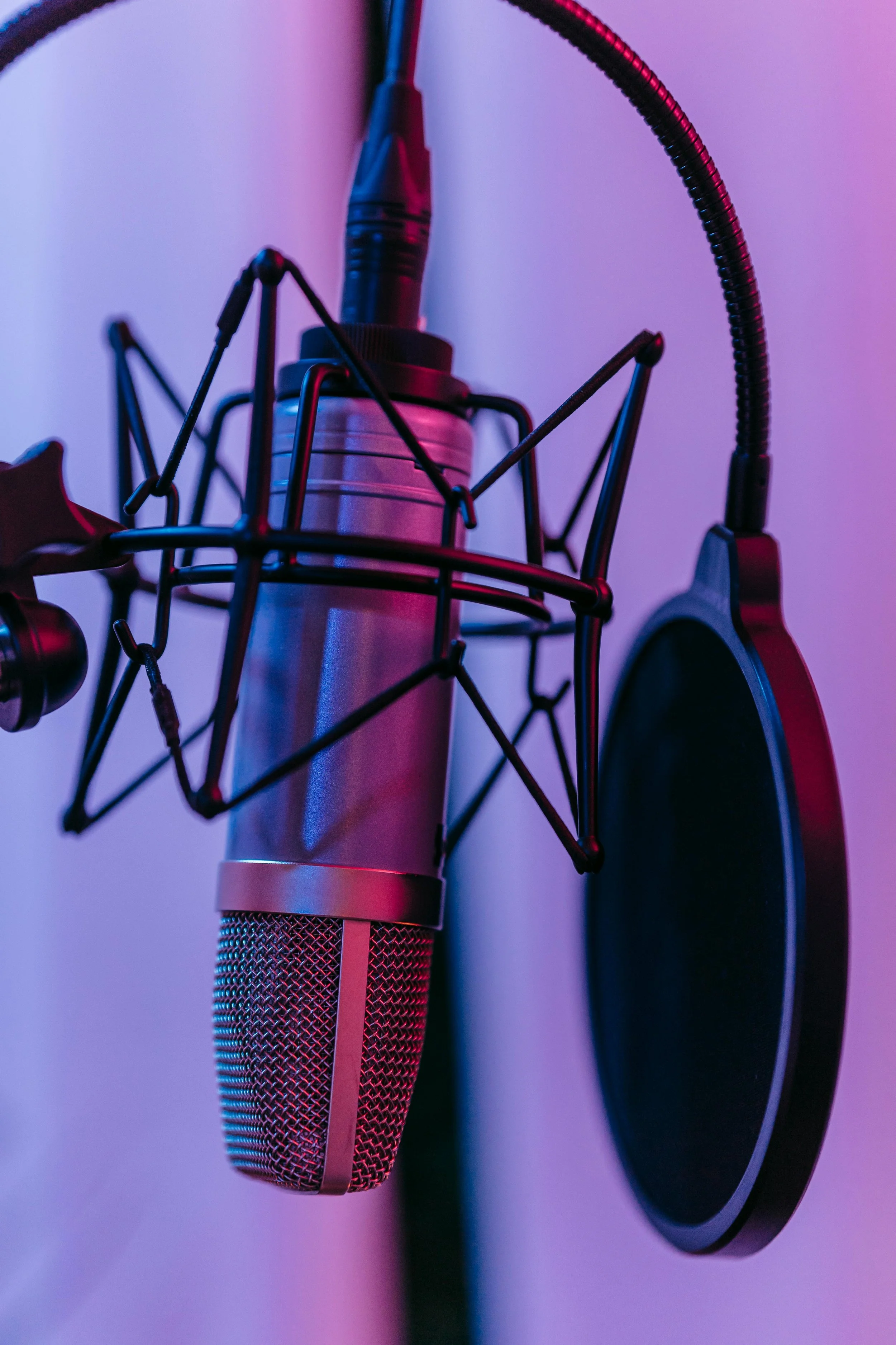 Close-up of a professional studio microphone with shock mount and pop filter in a recording booth, illuminated by purple and pink lighting.