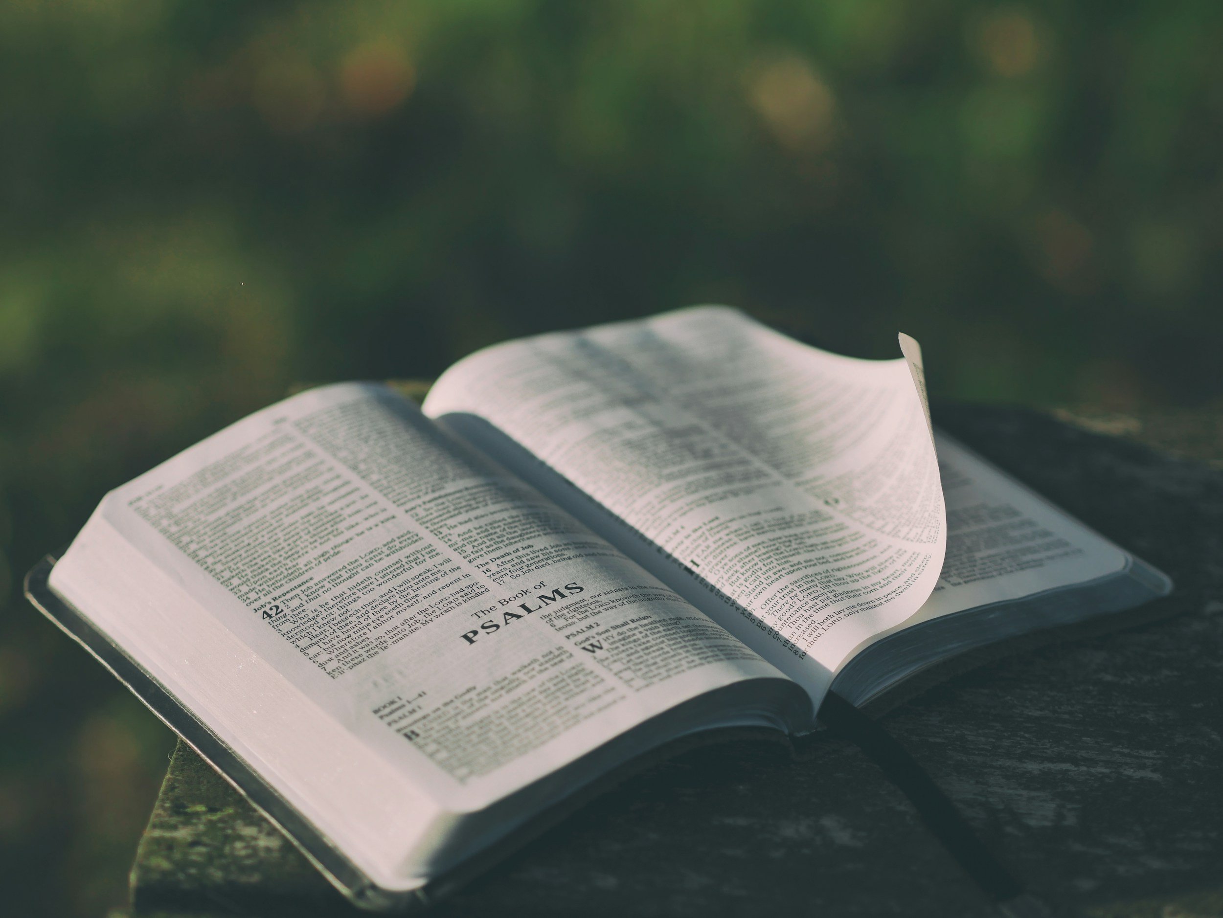 Open Bible on a wooden surface with sunlight, focusing on the Psalms section.