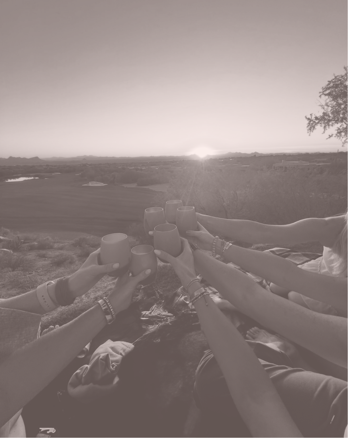 Group of people clinking glasses during sunset outdoor with scenic landscape in the background.