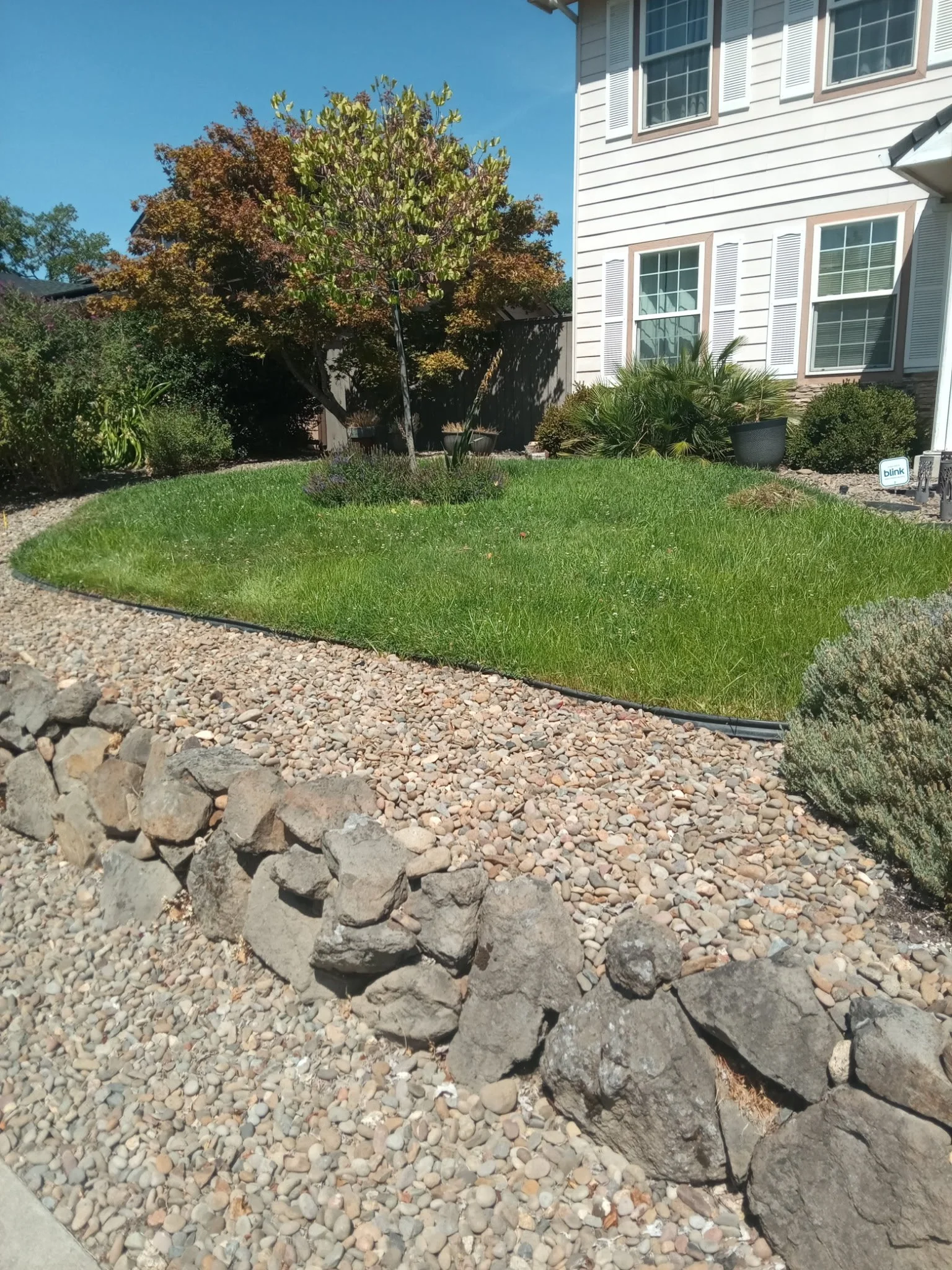 6764459656952735117 2.JPG