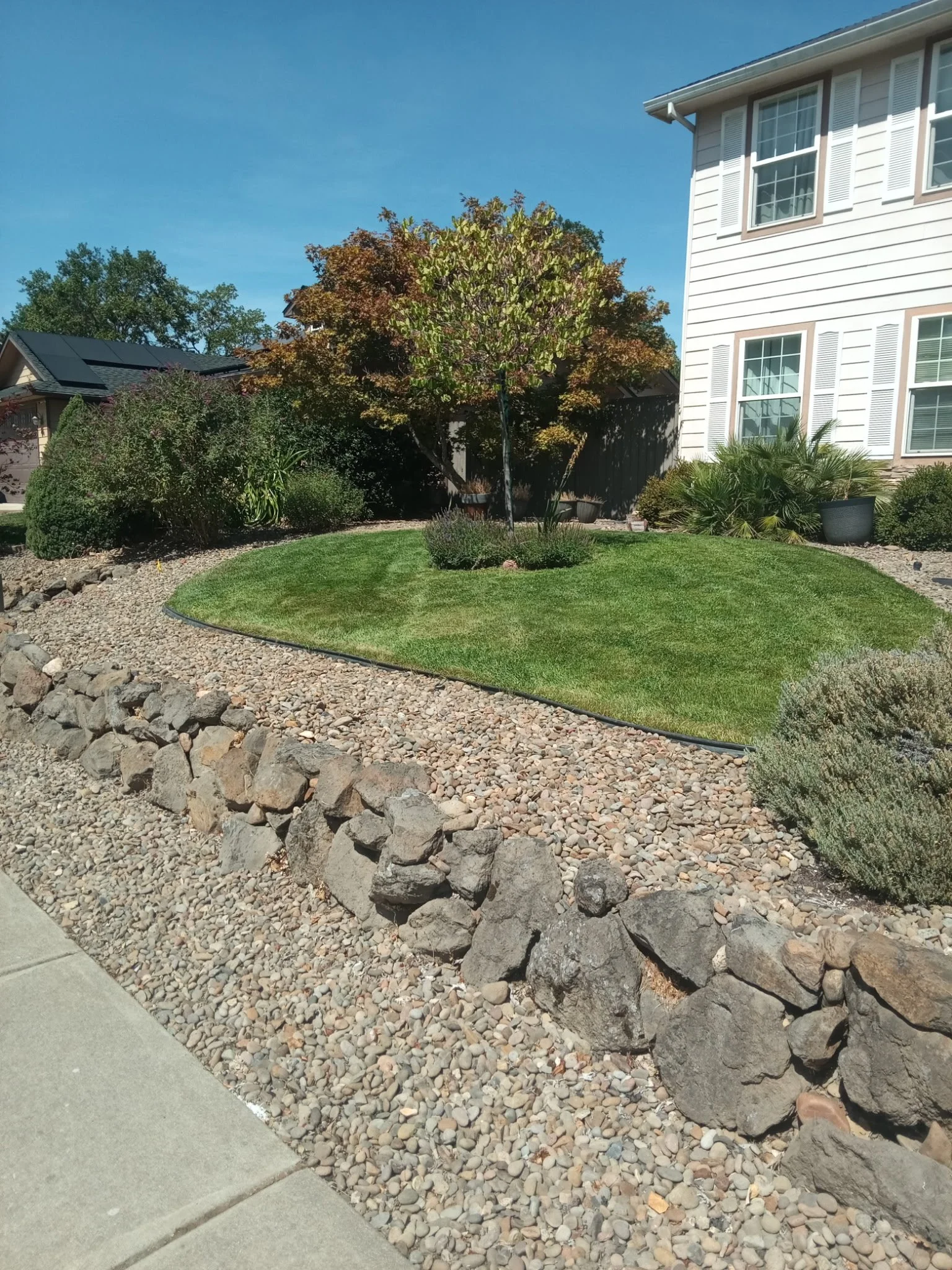 108174140810737840 2.JPG