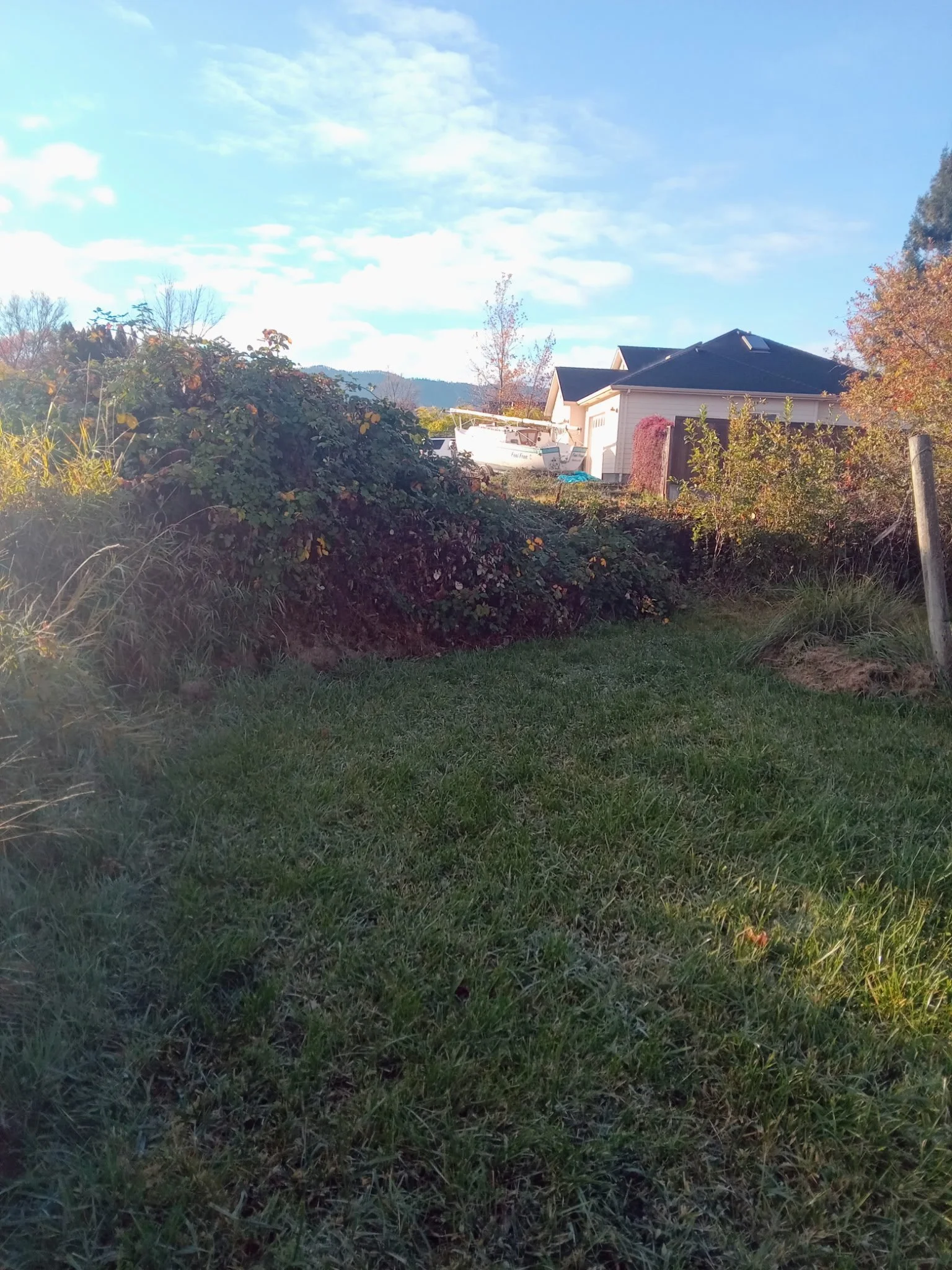 2065969772546262230 2.JPG