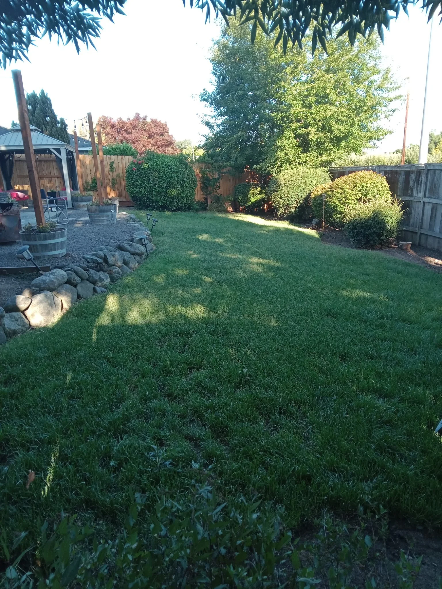 6726614290121928178 2.JPG