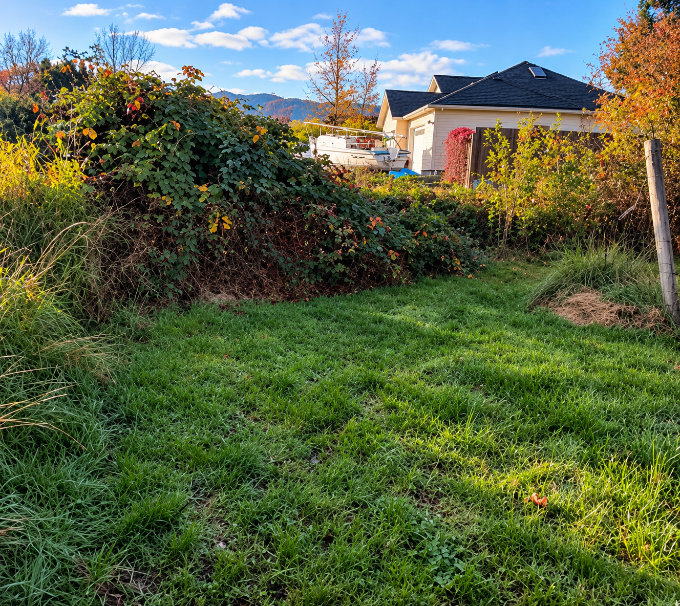 A backyard scene with grass and plants in the foreground, a house with a dark roof and garage in the background, and a boat on a trailer near the house.
