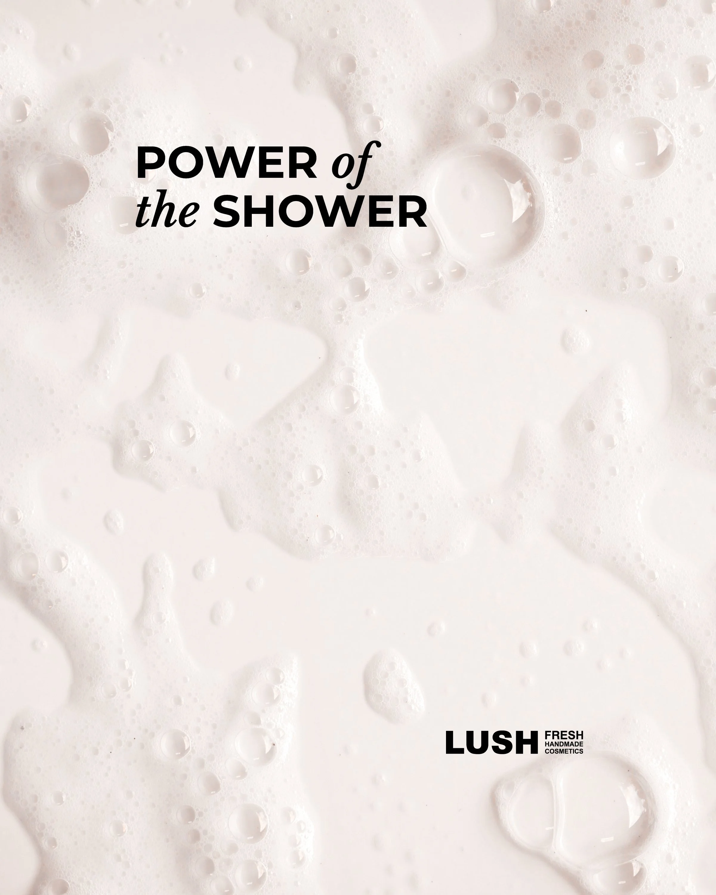LushBrochure.jpg