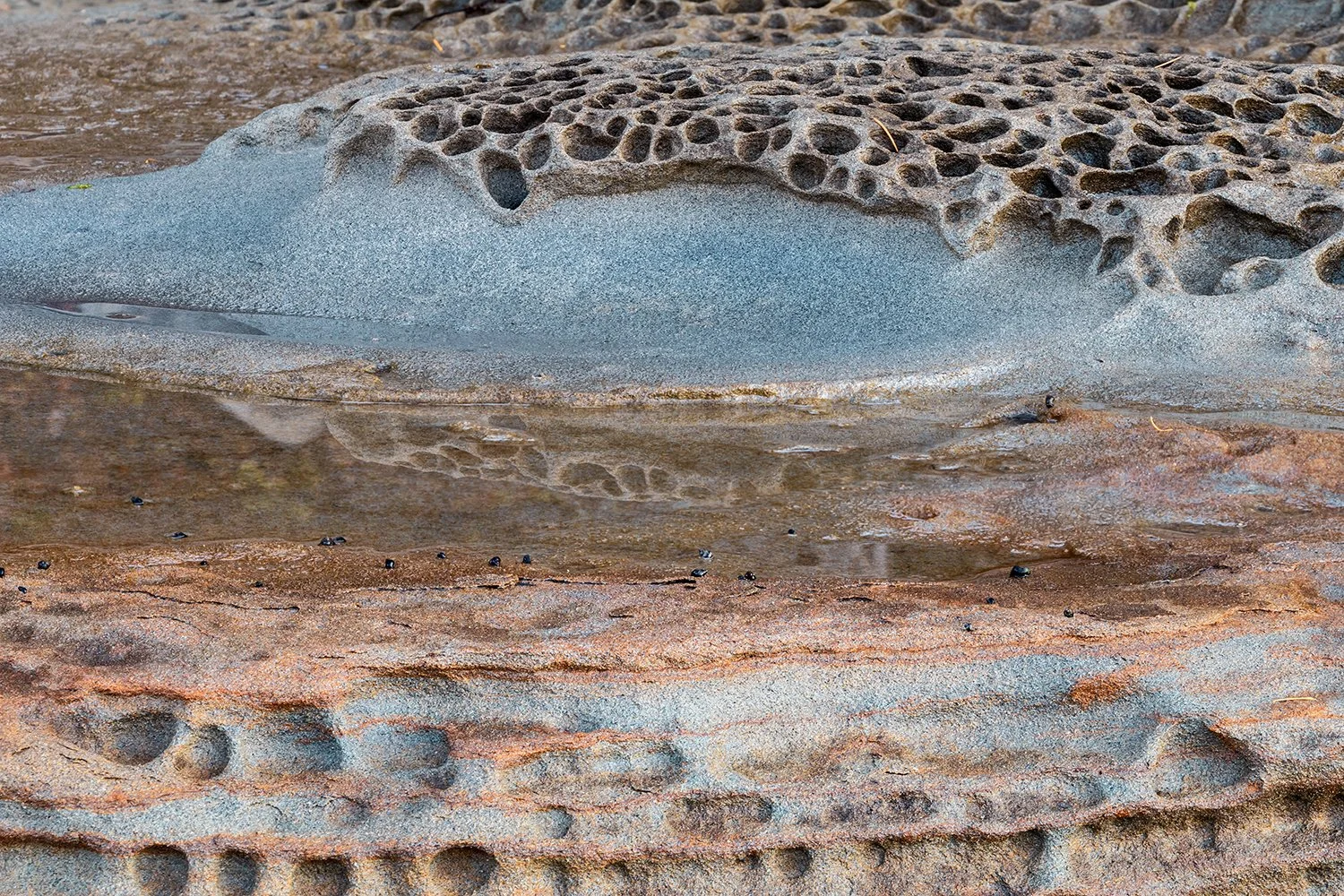 IMG_0967-Editsm - Copy - Copy.jpg