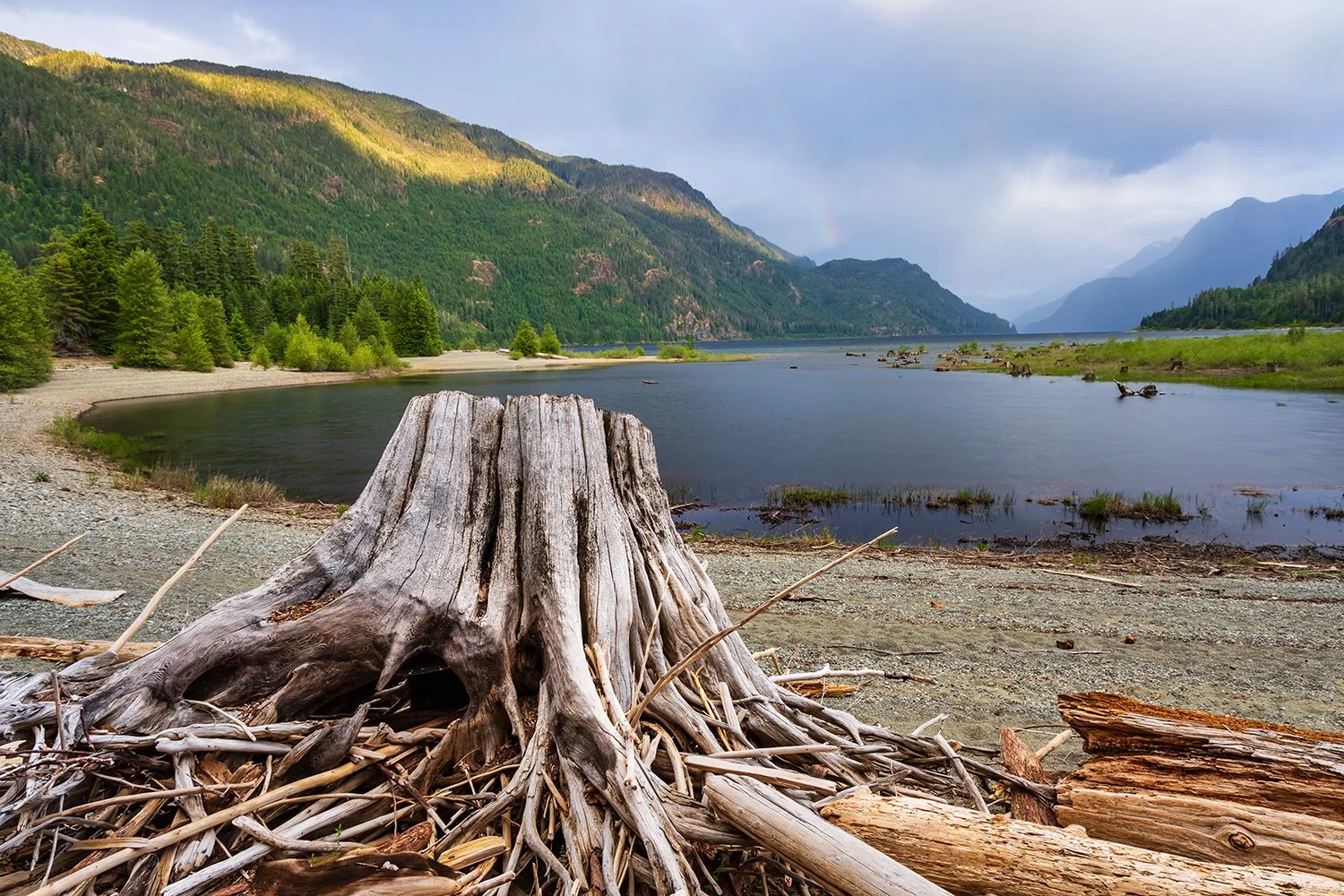 Buttle Lake