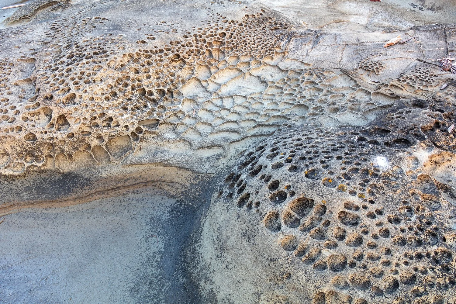 IMG_0452sm - Copy - Copy.jpg