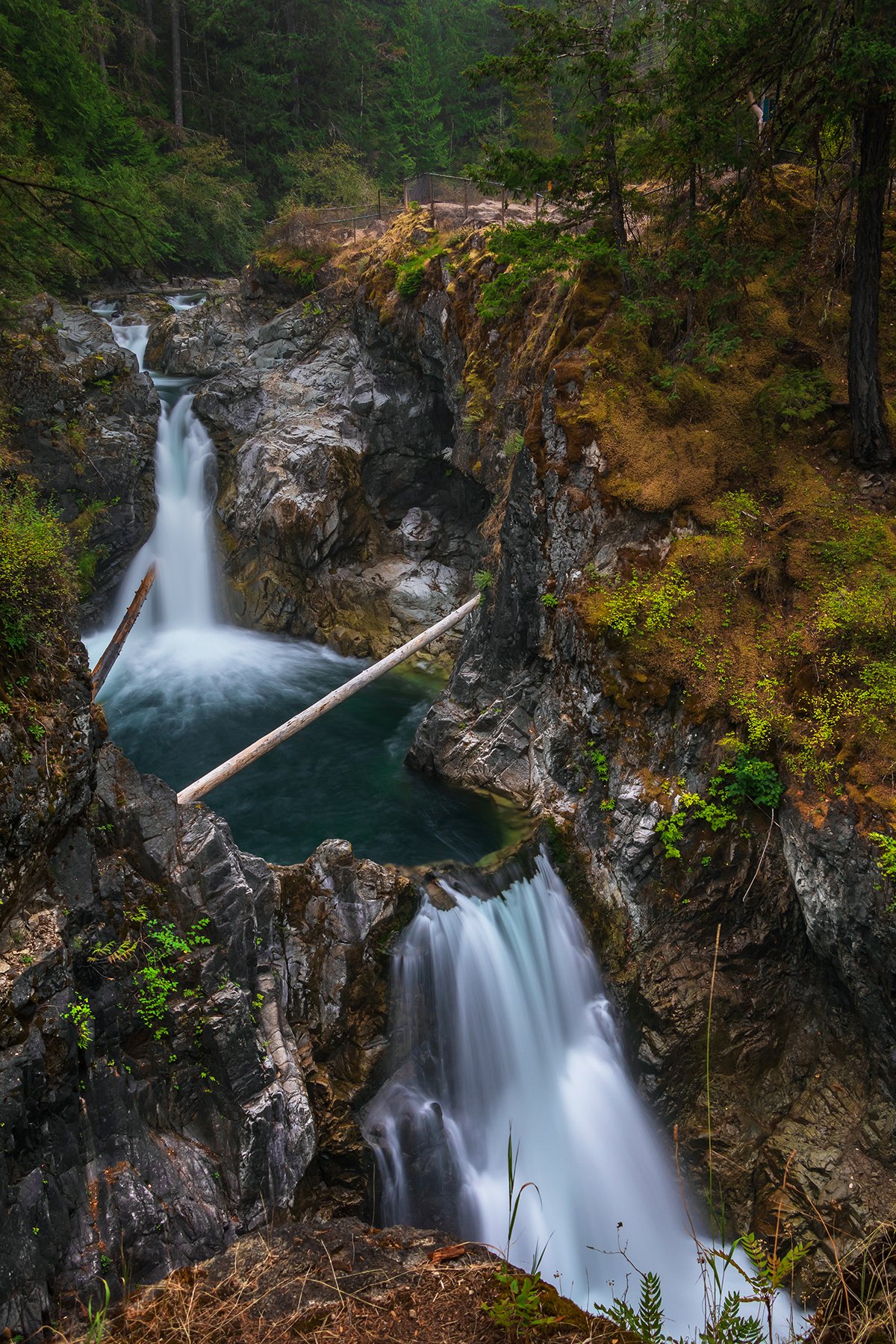 Little Qualicum Falls.jpg