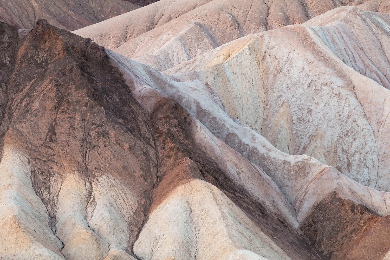 The Desert South West