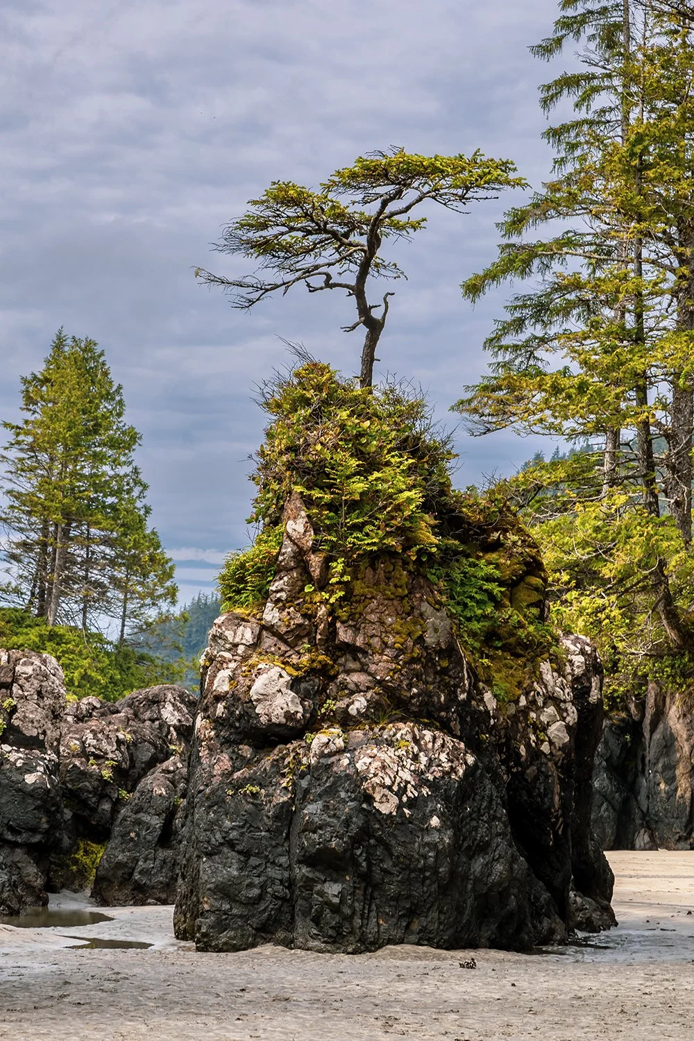 San Josef Bay