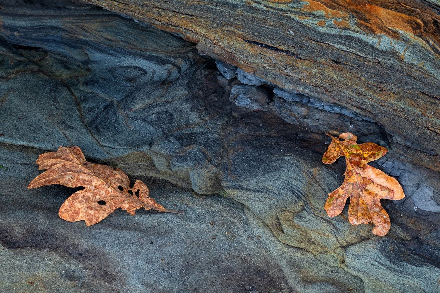 IMG_0933-Editsm - Copy - Copy.jpg