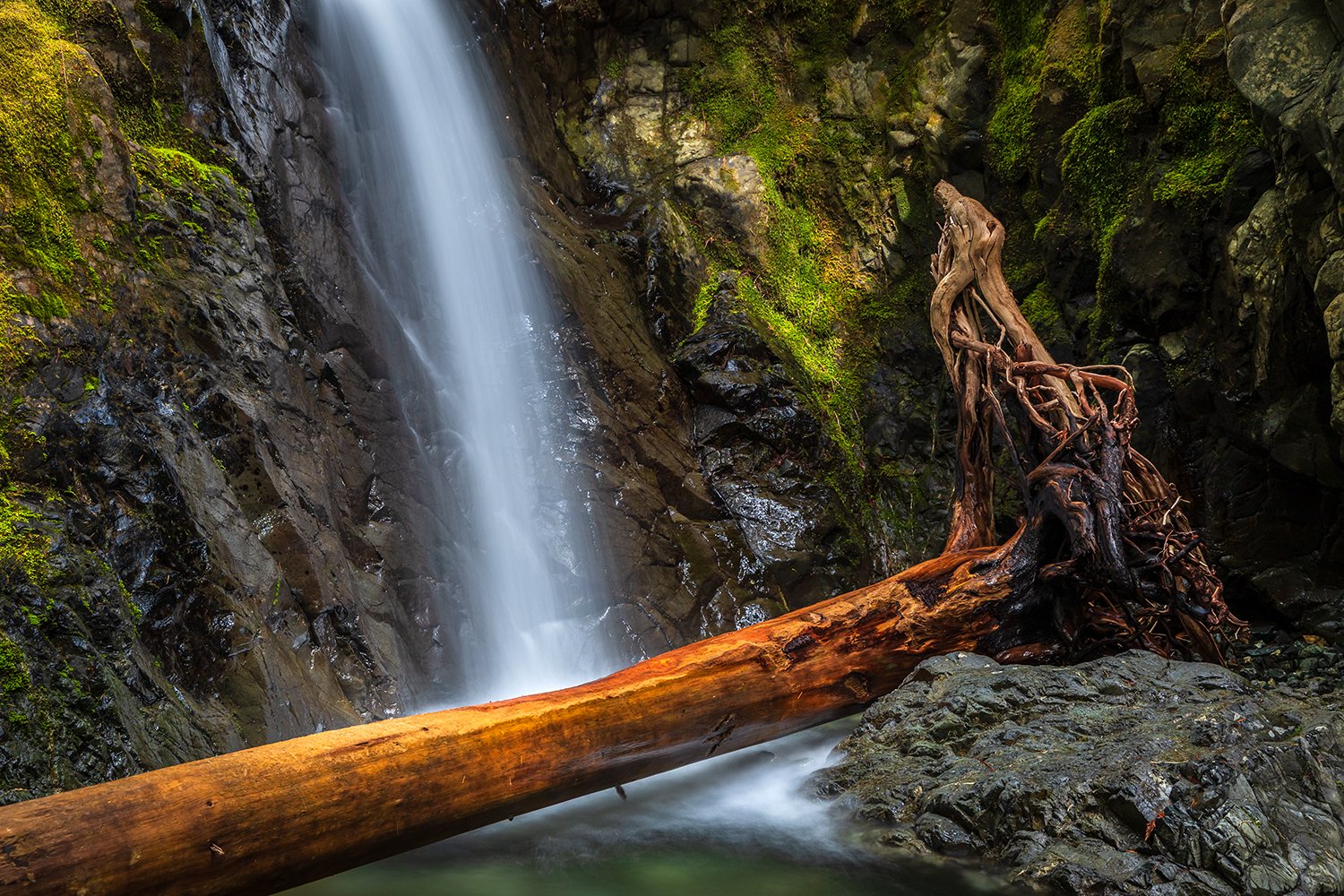 Lupin Falls