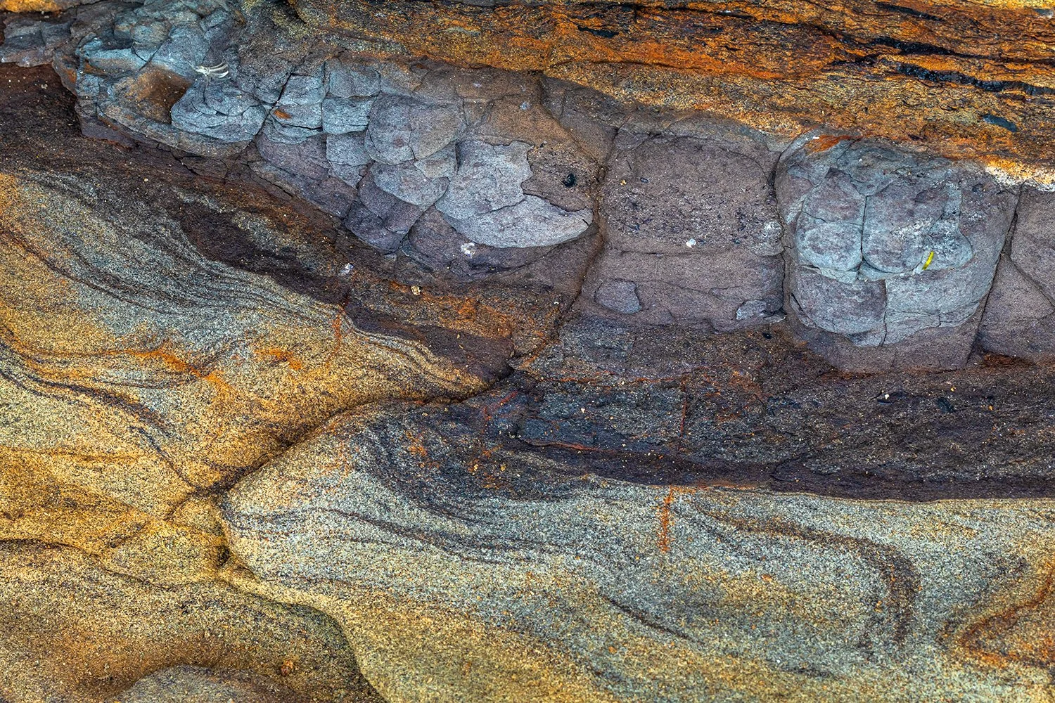 IMG_0938sm - Copy (2).jpg