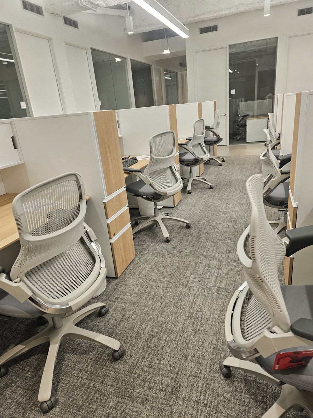 Empty office workspace with multiple ergonomic chairs and individual desks separated by partitions in a modern office.