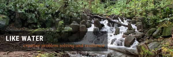 Like Water: resilience and creative problem-solving