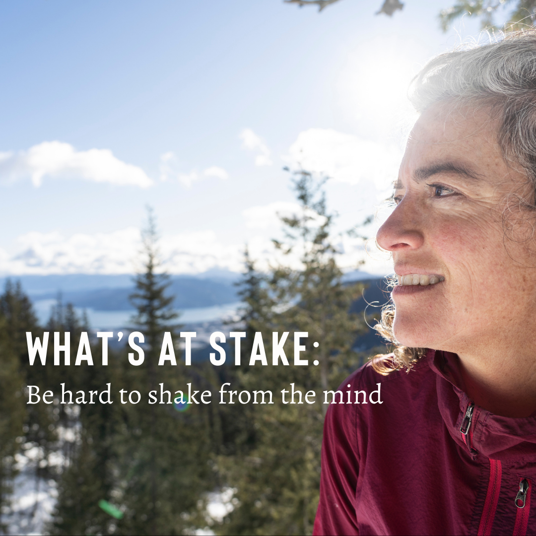 What’s at Stake: Be Hard to Shake from the Mind