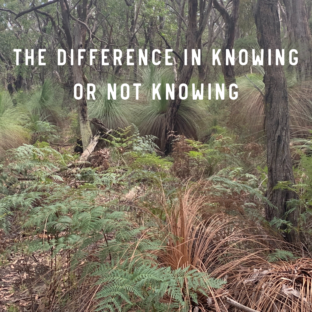 The Difference in Knowing or Not Knowing