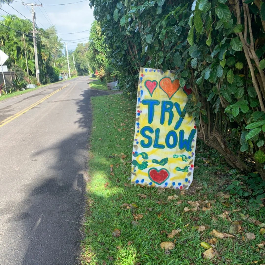 Try Slow