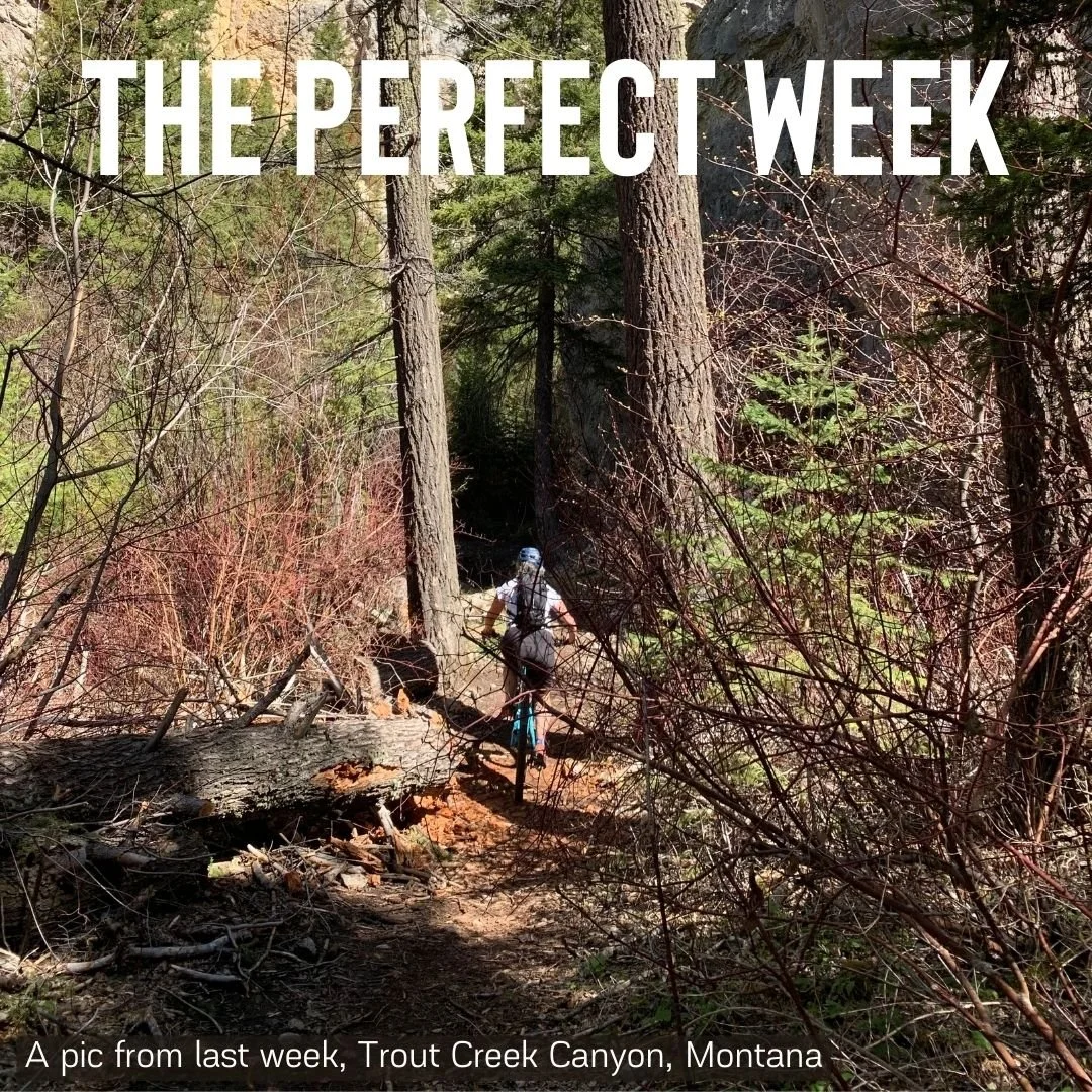 The Perfect Week