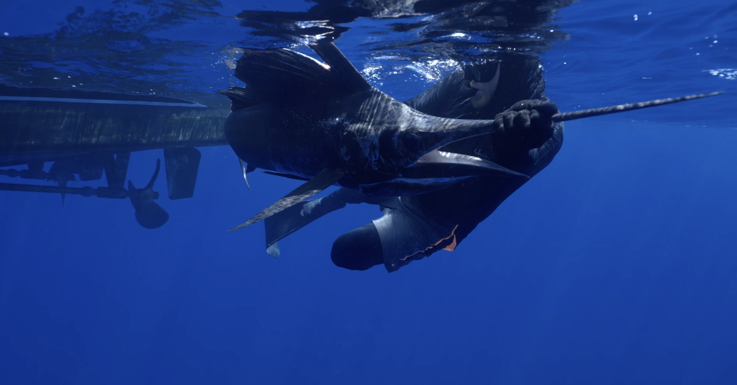 Screenshot 2026-03-12 at 2.55.24 pm.png