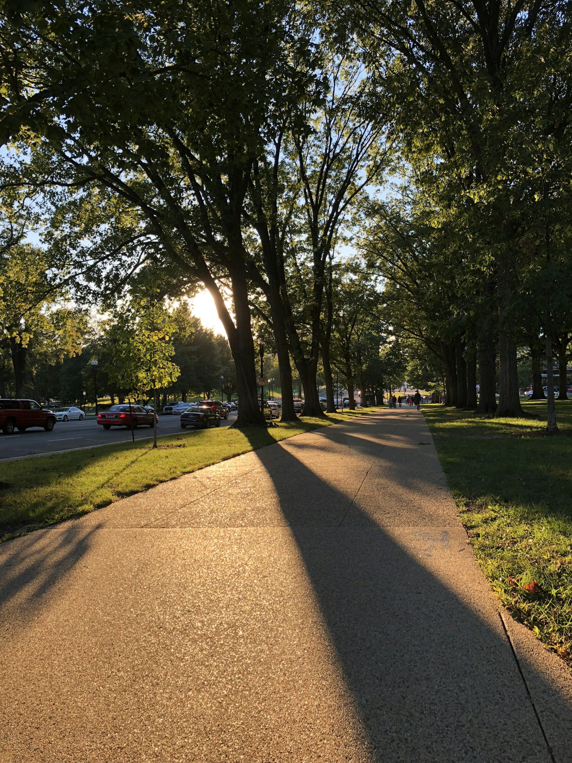 A sidewalk lined with green trees, with sunlight peeking through the branches, casting long shadows on the ground. There are parked cars along the street and people walking in the distance.