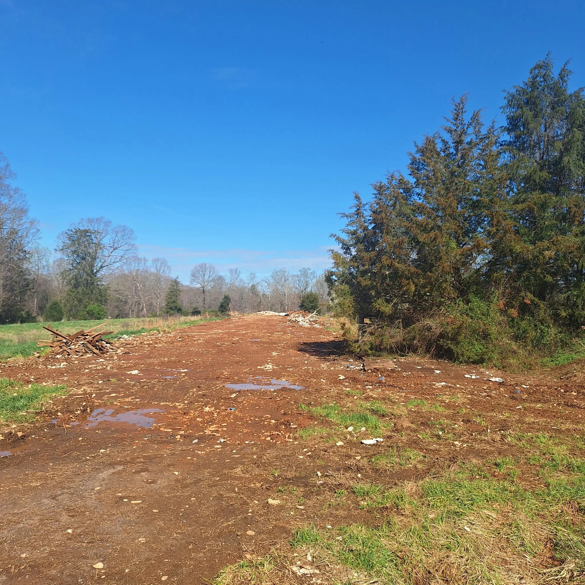 A dirt path with patches of water, surrounded by grass and trees, under a clear blue sky.