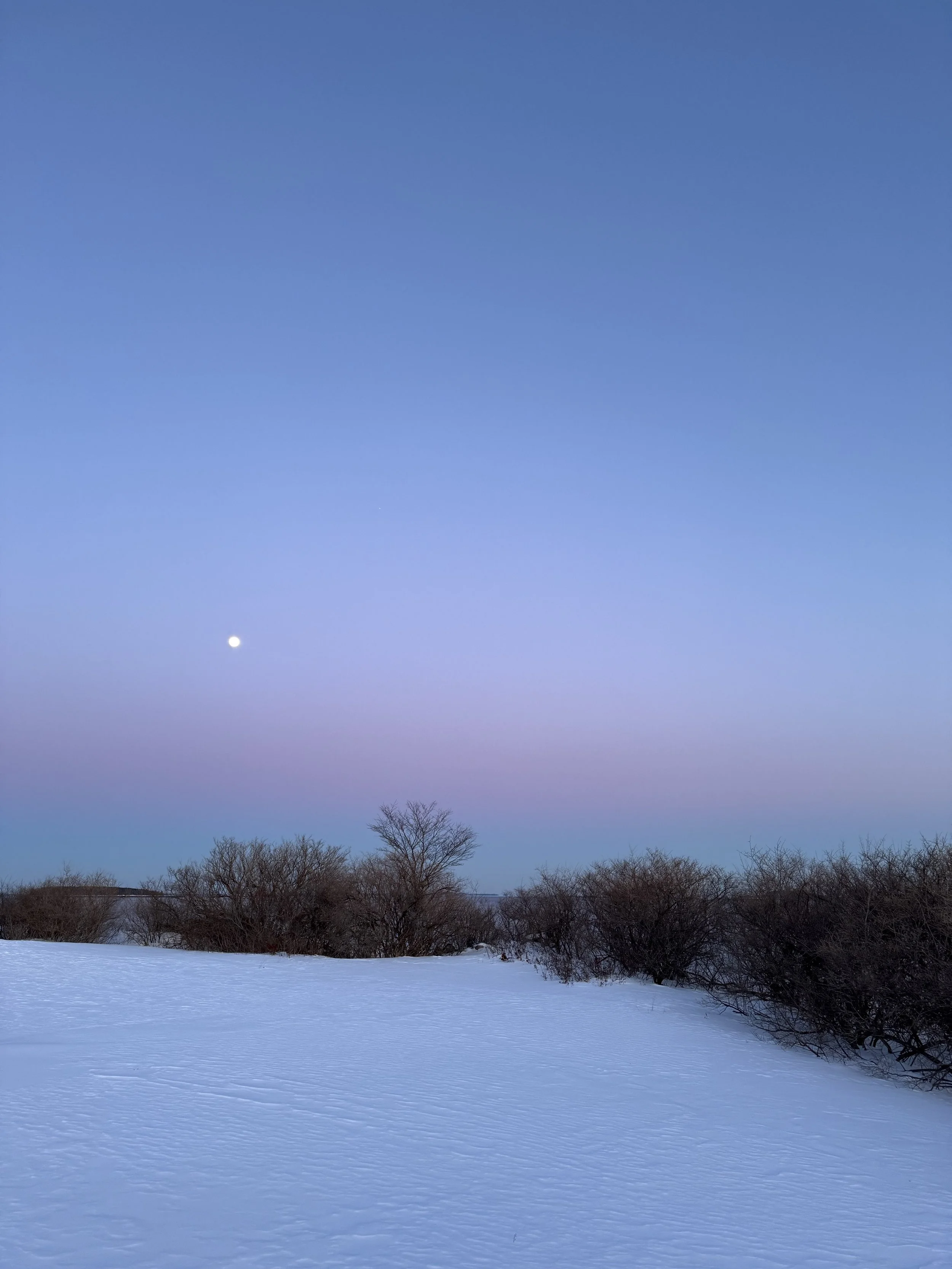 Snow-covered landscape with leafless trees and a gradient sky transitioning from purple to blue, with the moon visible in the night sky.