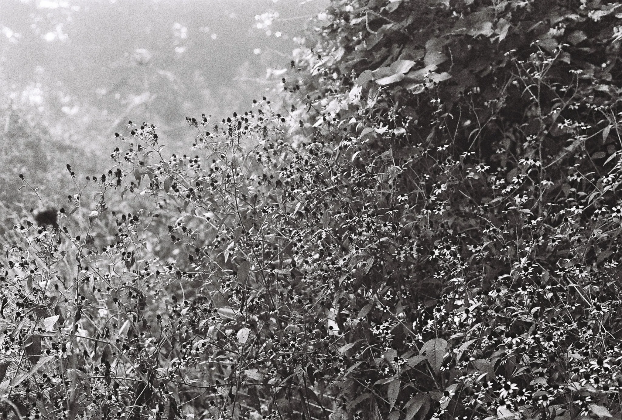 R1-09525-0054.jpg