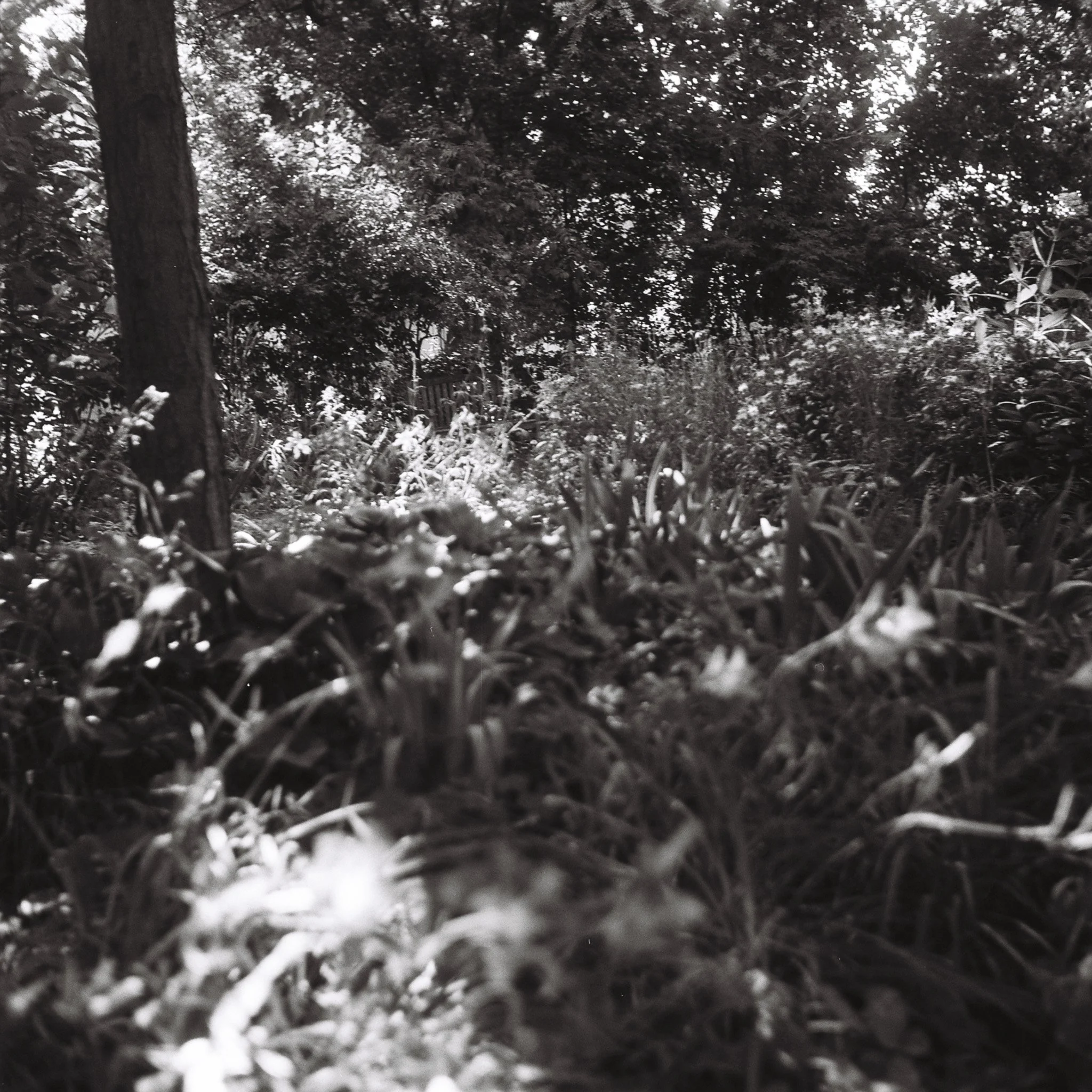 R1-09525-0257.jpg