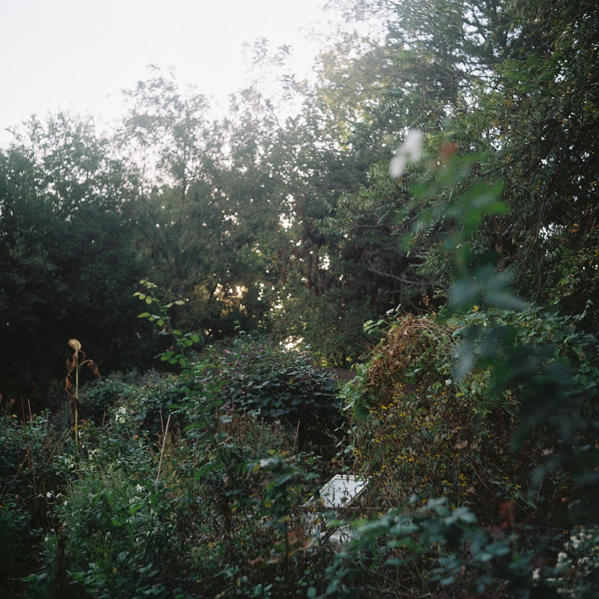 R1-09525-0268.jpg